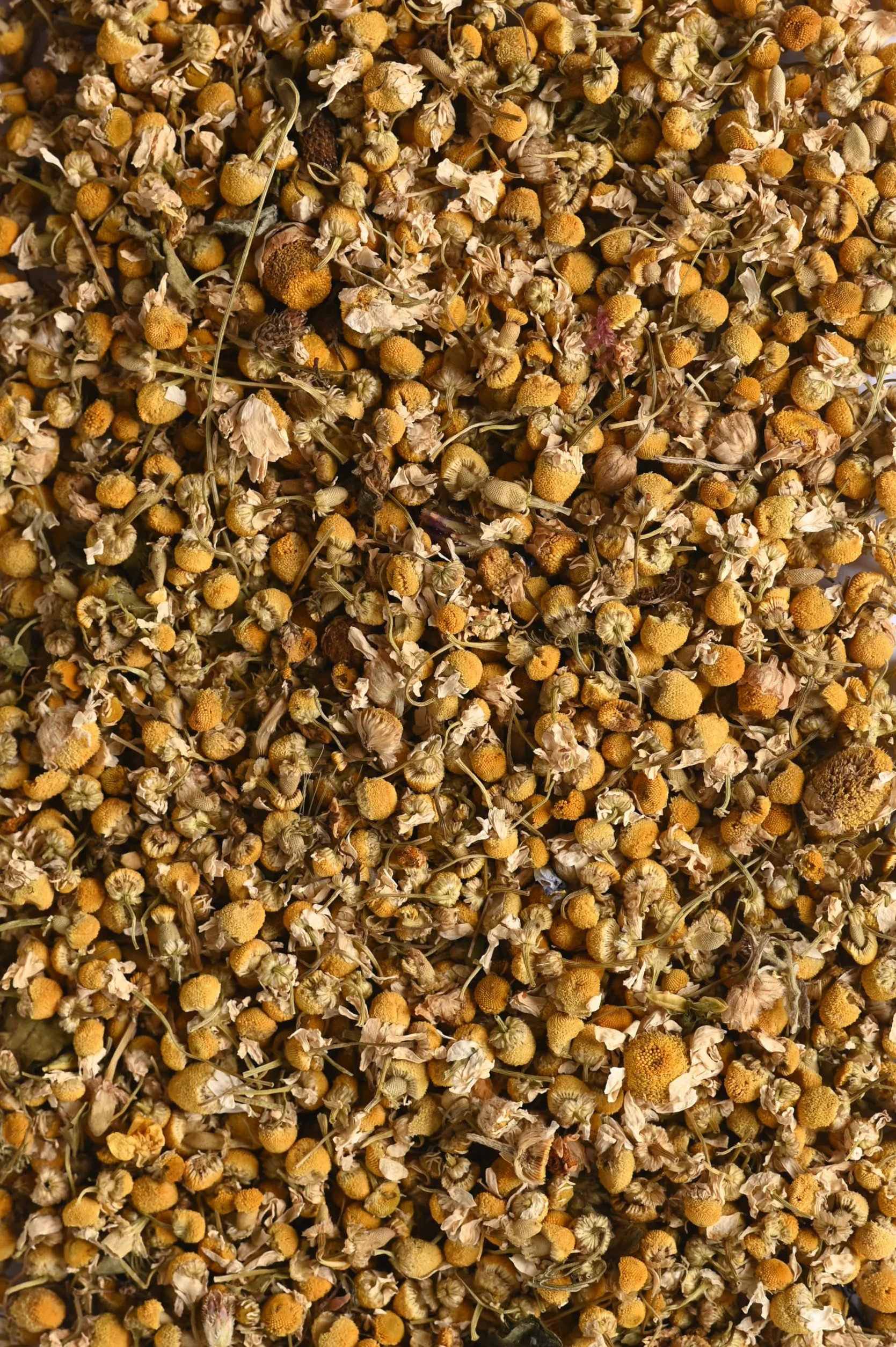Biojoy BIO-Rumianek 100 g naturalny bez dodatków