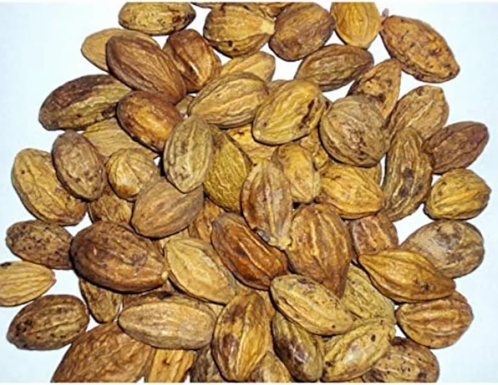 Ceylon Dried Aralu Haritaki Chebulic Myrobalan Terminalia chebula 30g Sri Lanka