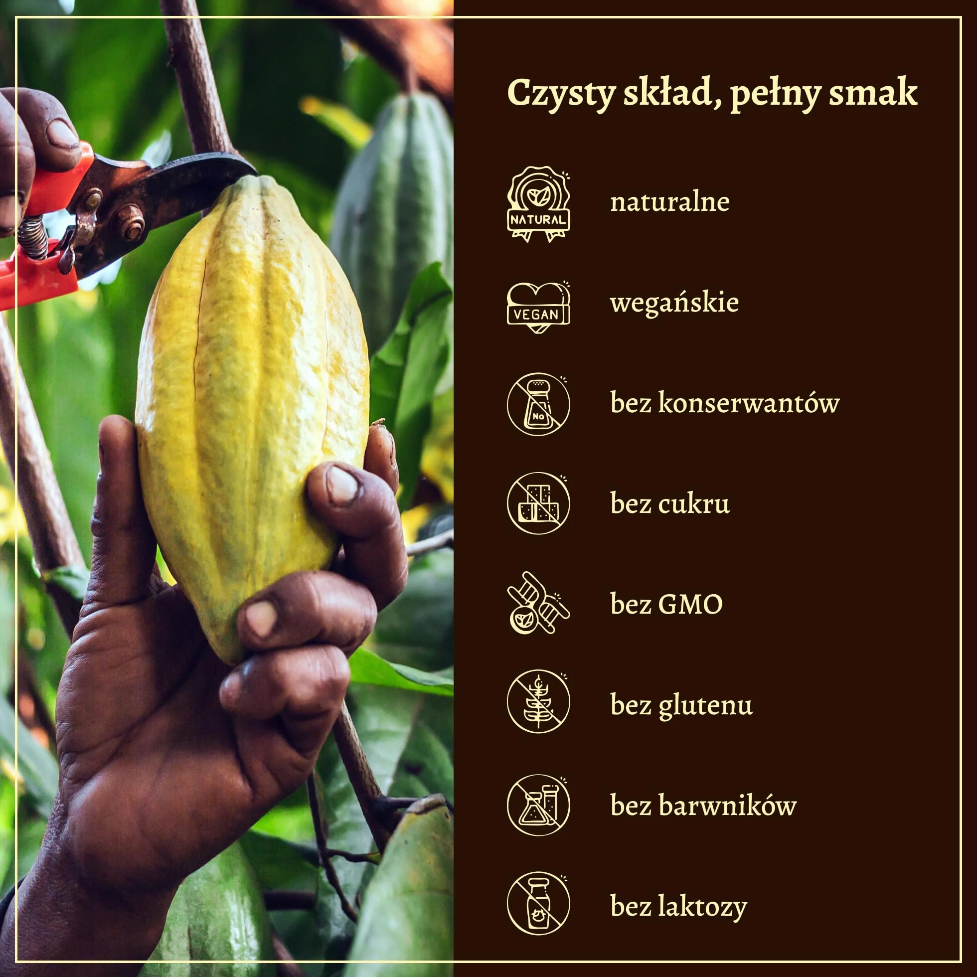Ceremonialne Kakao 100% Single Origin 150g Keto Masa Kakaowa do Picia Bez Cukru Bez GMO Tradycyjne