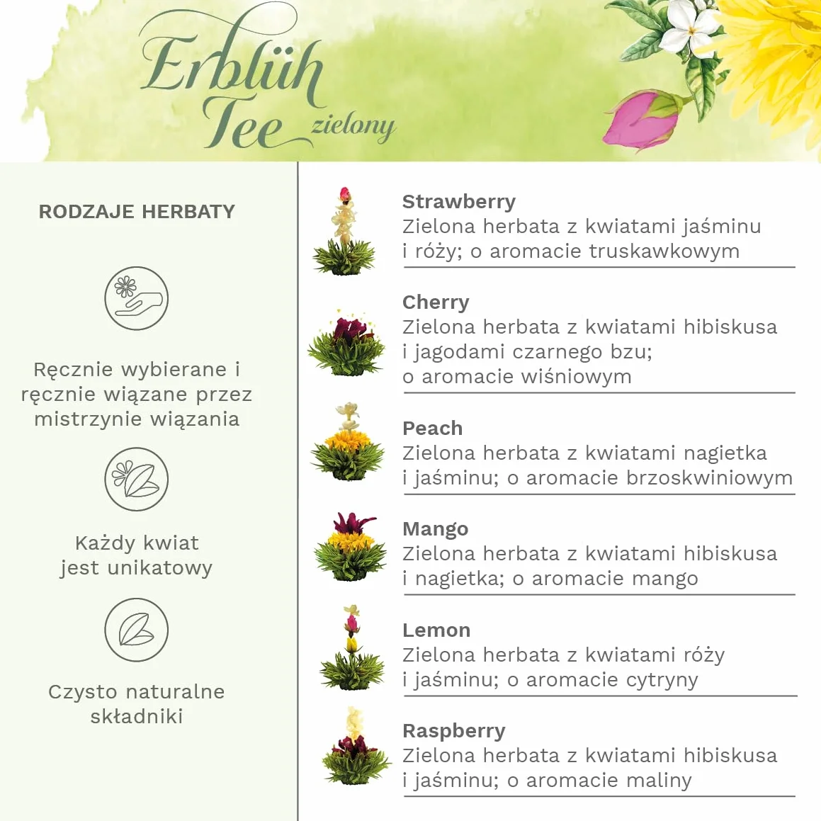 Zestaw prezentowy Creano z herbatą kwitnącą – wzór kwiatowy – herbata kwitnąca Spring Harvest z dzbankiem szklanym o pojemności 500 ml i 6 zielonymi herbatami – prezent na Walentynki, Dzień Matki