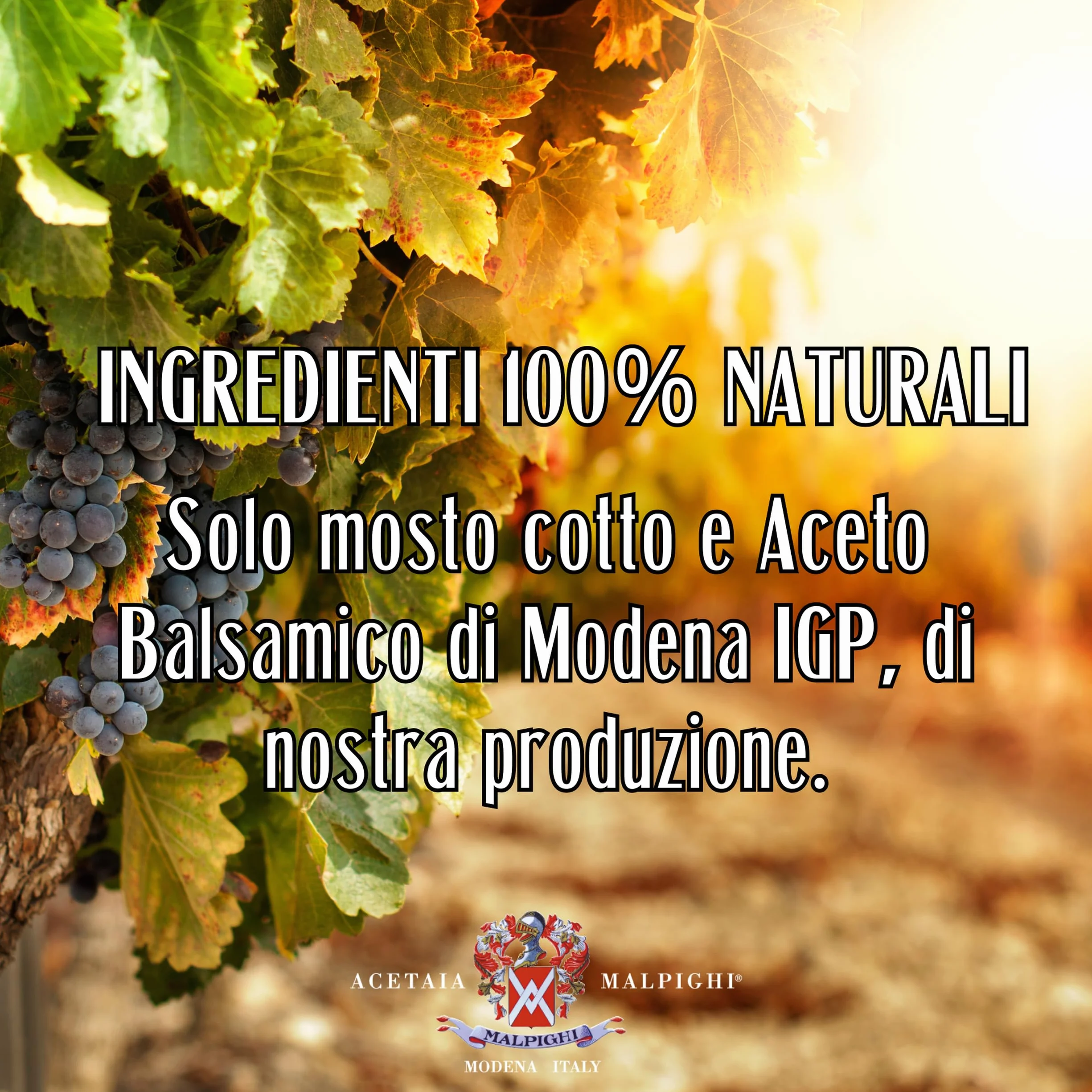 Acetaia Malpighi Kondiment z Balsamicznym Octem z Modeny IGP Saporoso 200 ml Leżakowany 6 lat
