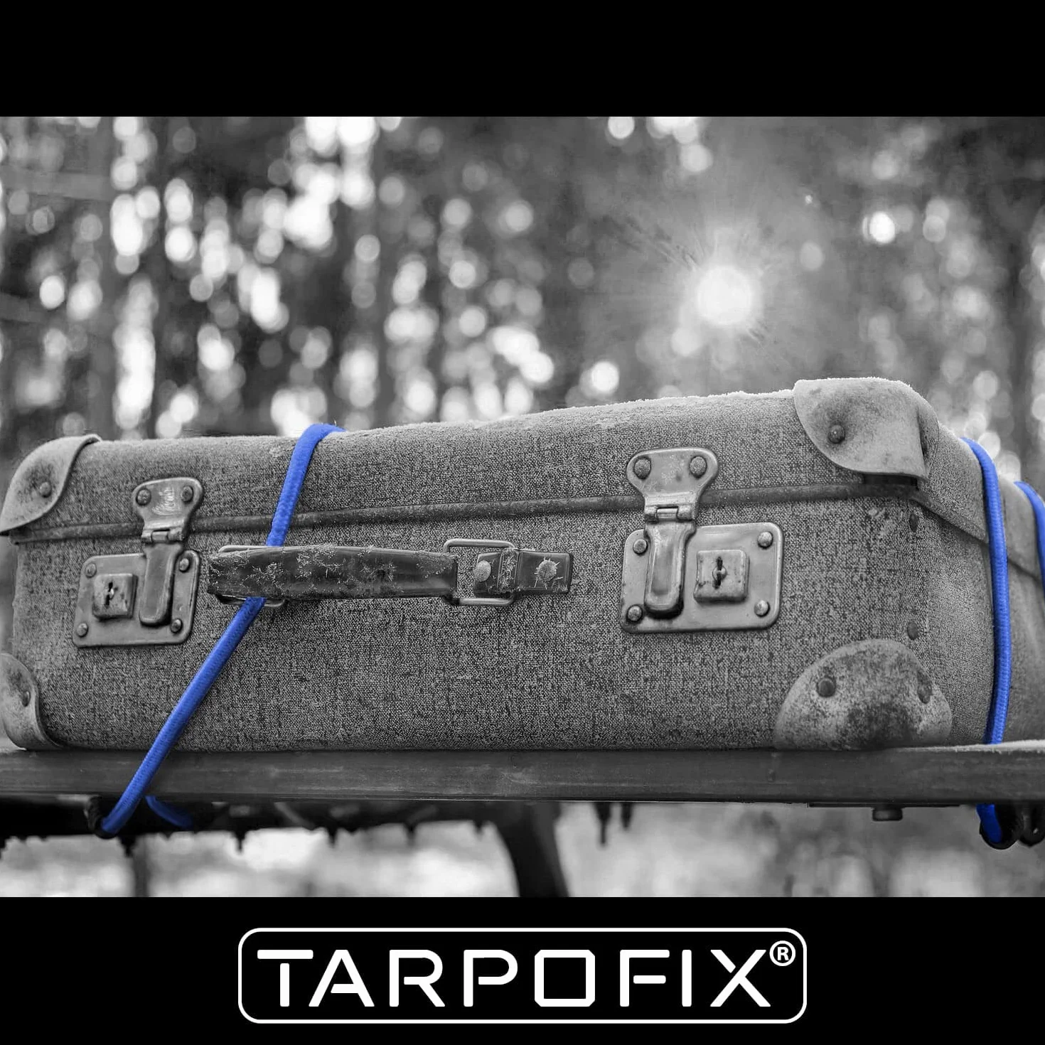 Tarpofix® Liny Napinające z Hakami 24-częściowy Zestaw Expanderów Gumowe Mocne
