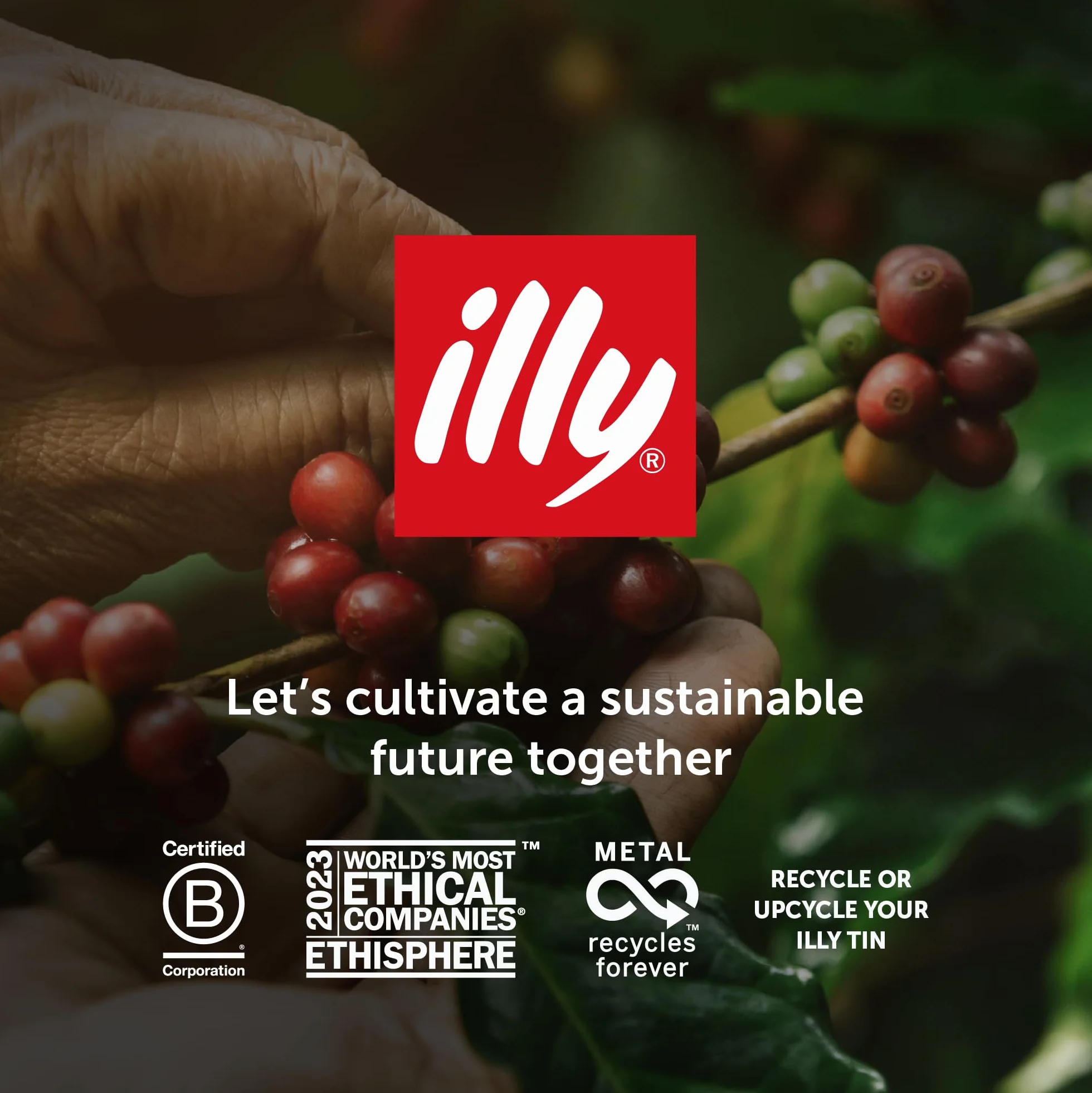 Illy Decaf Kawa Ziarnista Bezkofeinowa Arabica Blend