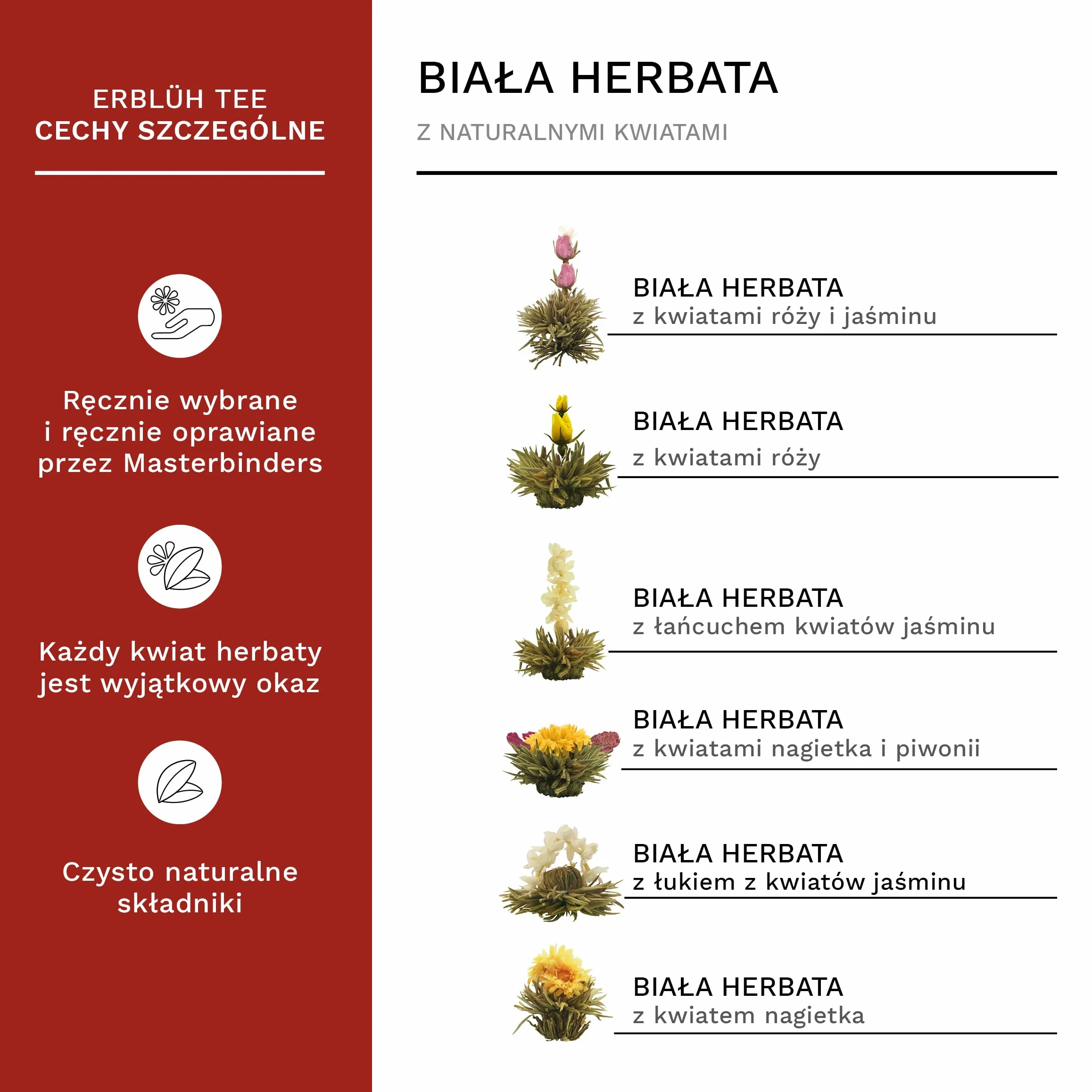 Creano Mieszanka kwiatów herbacianych zestaw upominkowy herbata kwitnąca ze szklanym dzbankiem i 2 szklankami termicznymi 250 ml biała herbata