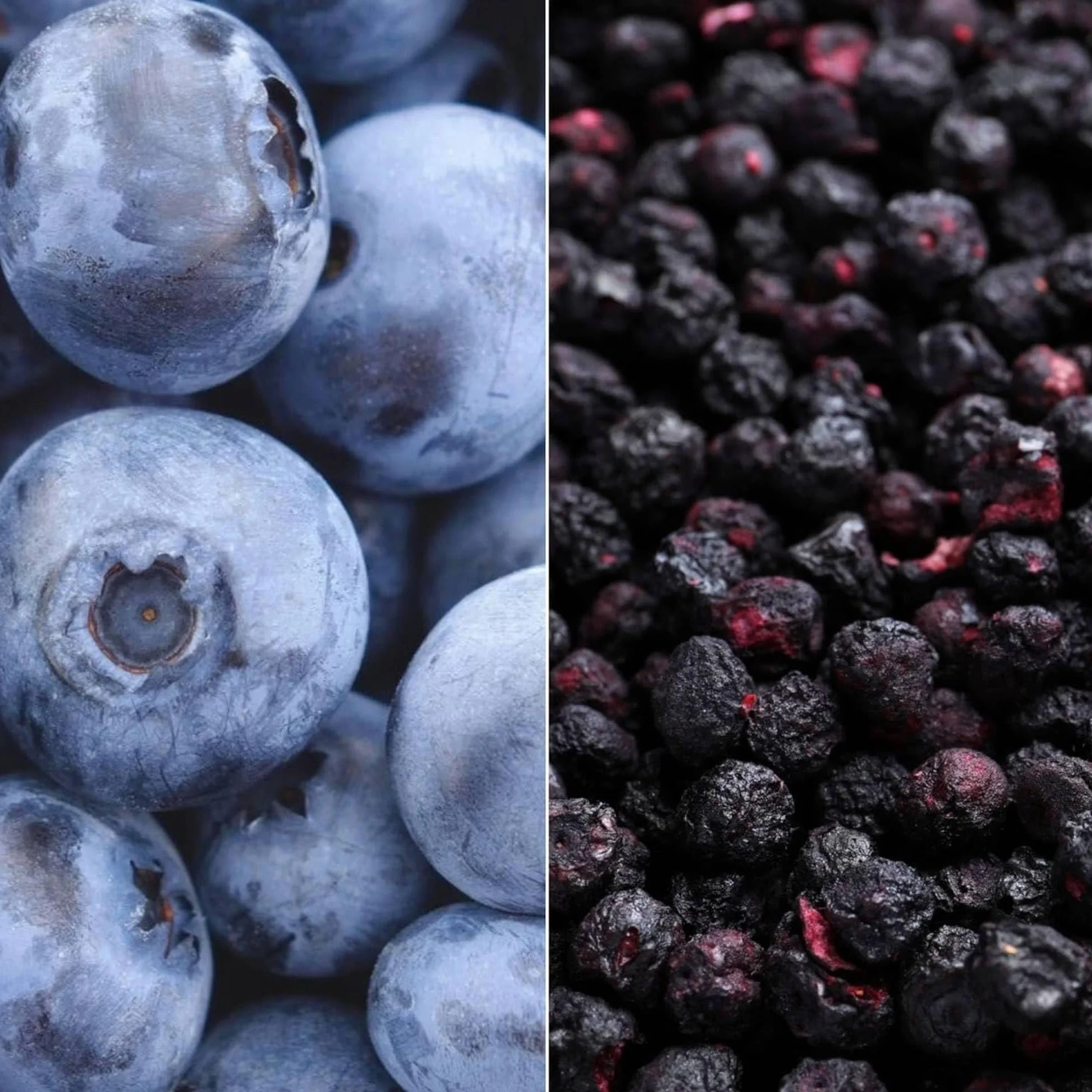 HiFood borówki liofilizowane 100 g całe owoce chrupiące do musli smoothie