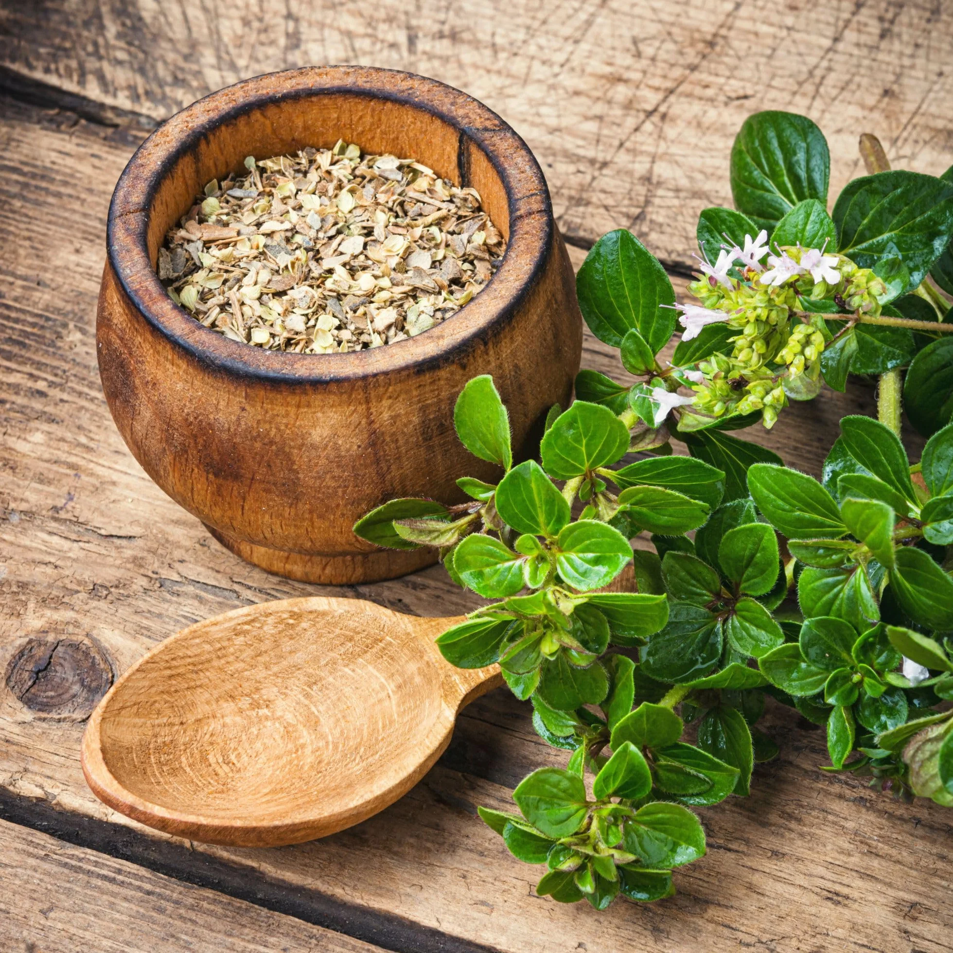 Alpi Nature Ekologiczne Suszone Oregano 125g, Tarte Oregano do Gotowania, Makaronu i Pizzy