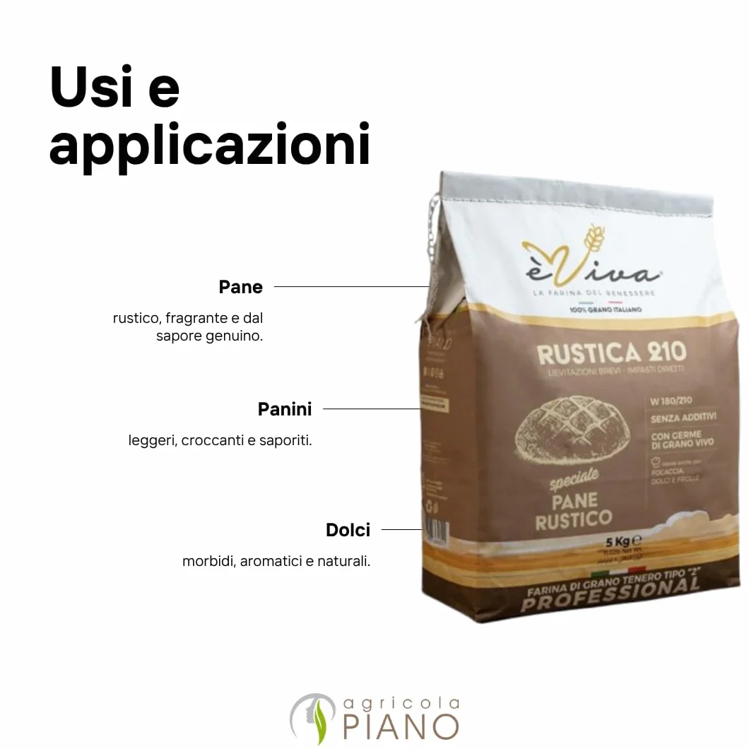 Agricola Piano Rustica 240 Mąka pszenna Typ 1050 kg 5 - Mąka bez dodatków do chleba bułek i focacci 100% włoska