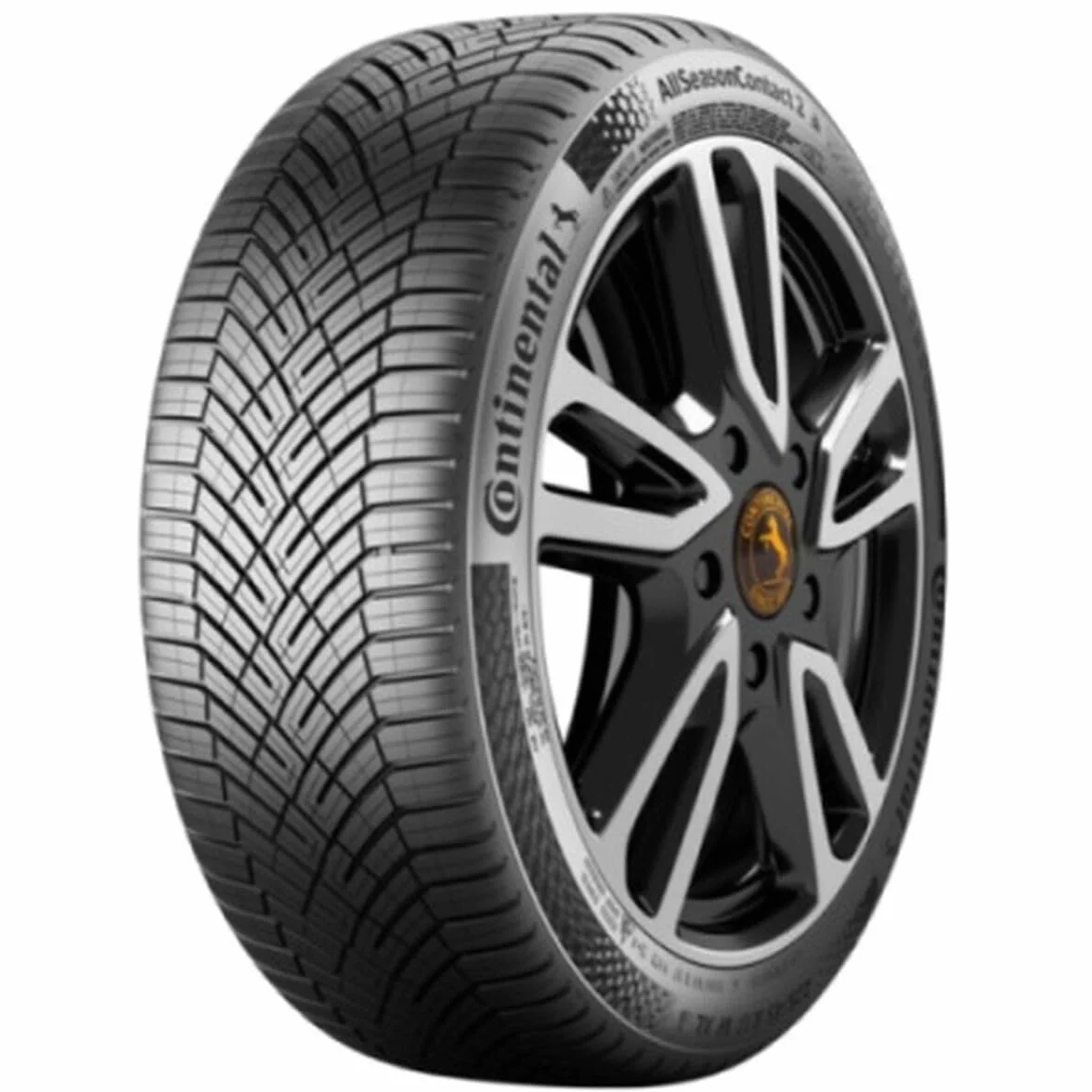 Continental AllSeasonContact 2 205/55 R16 91V opony całoroczne