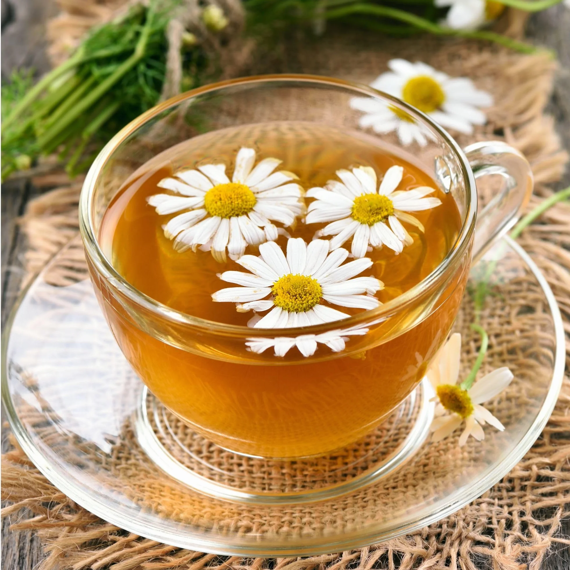 IDDA Herbal Herbata Rumiankowa 100g Całe Kwiaty Rumianku