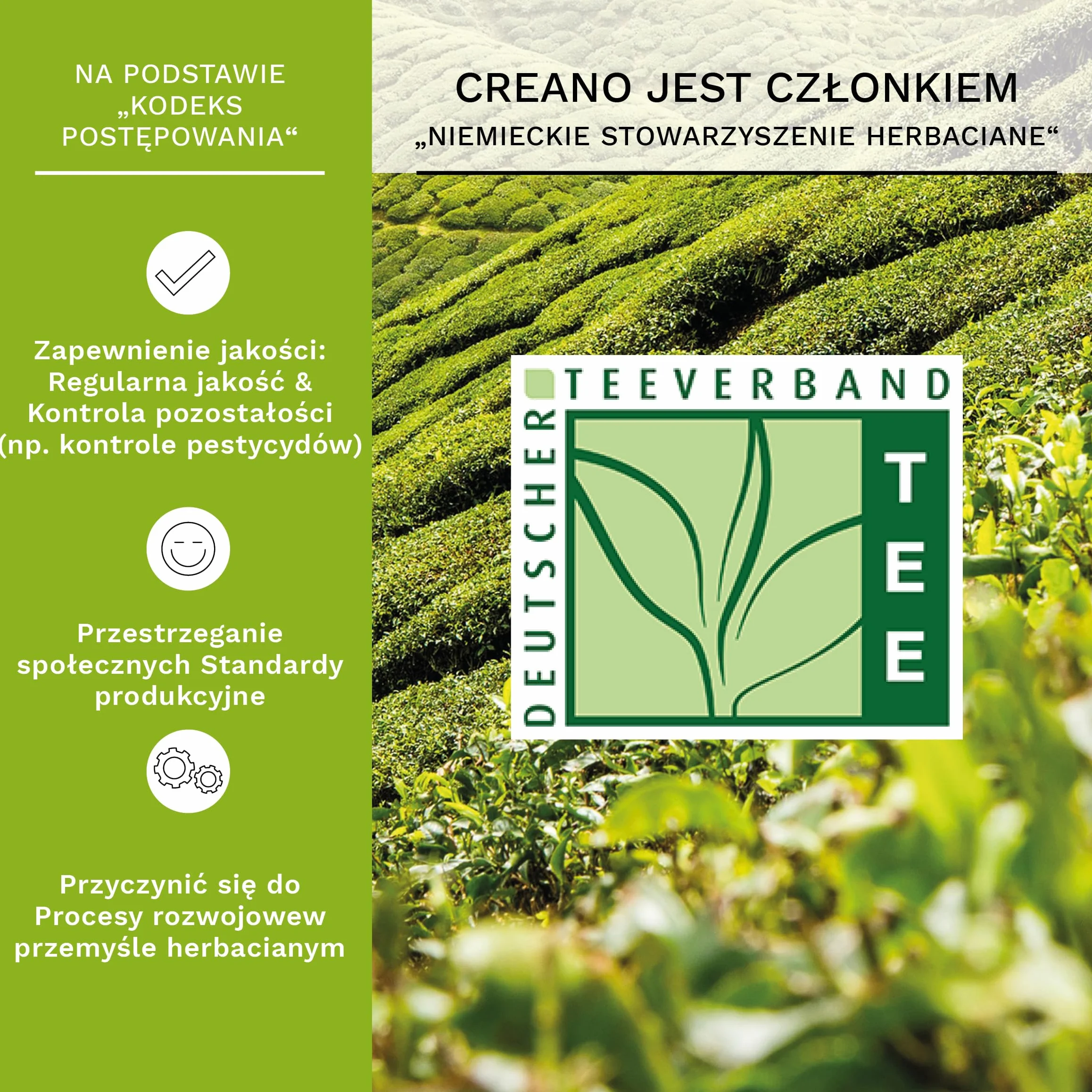 Creano Flowering Teas – Zestaw herbat kwitnących – Zielona herbata o owocowym smaku (6 różnych odmian róż herbacianych) Prezent dla kobiet, matek i miłośniczek herbaty