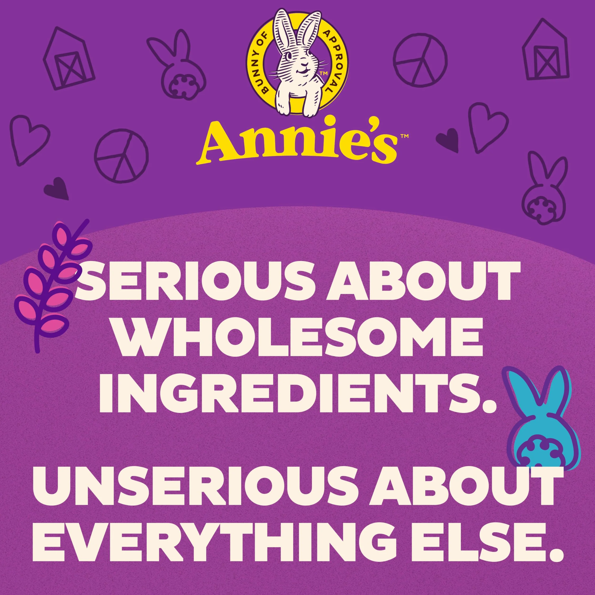 Annie's Shells & White Cheddar Macaroni & Cheese 6 oz Box (12 sztuk)