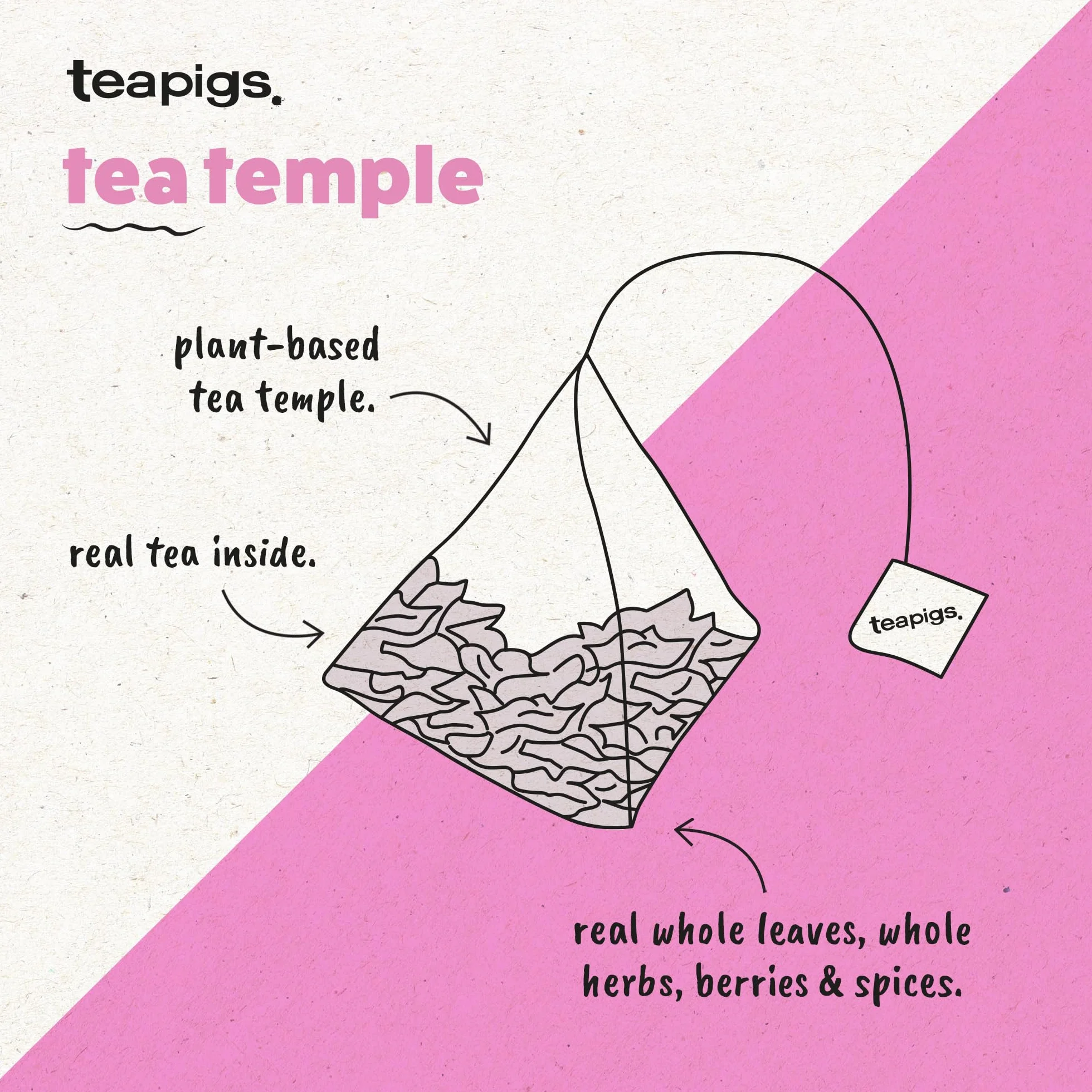 Teapigs Mao Feng Zielona Herbata w Torebkach 50 sztuk Całe Liście