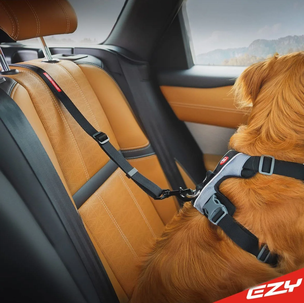 EzyDog Pas samochodowy dla psa - Click ISOFIX regulowany do uprzęży z kotwicą ISOFIX, wytrzymały nylonowy pas bezpieczeństwa do samochodu (43–65 cm, czarny)
