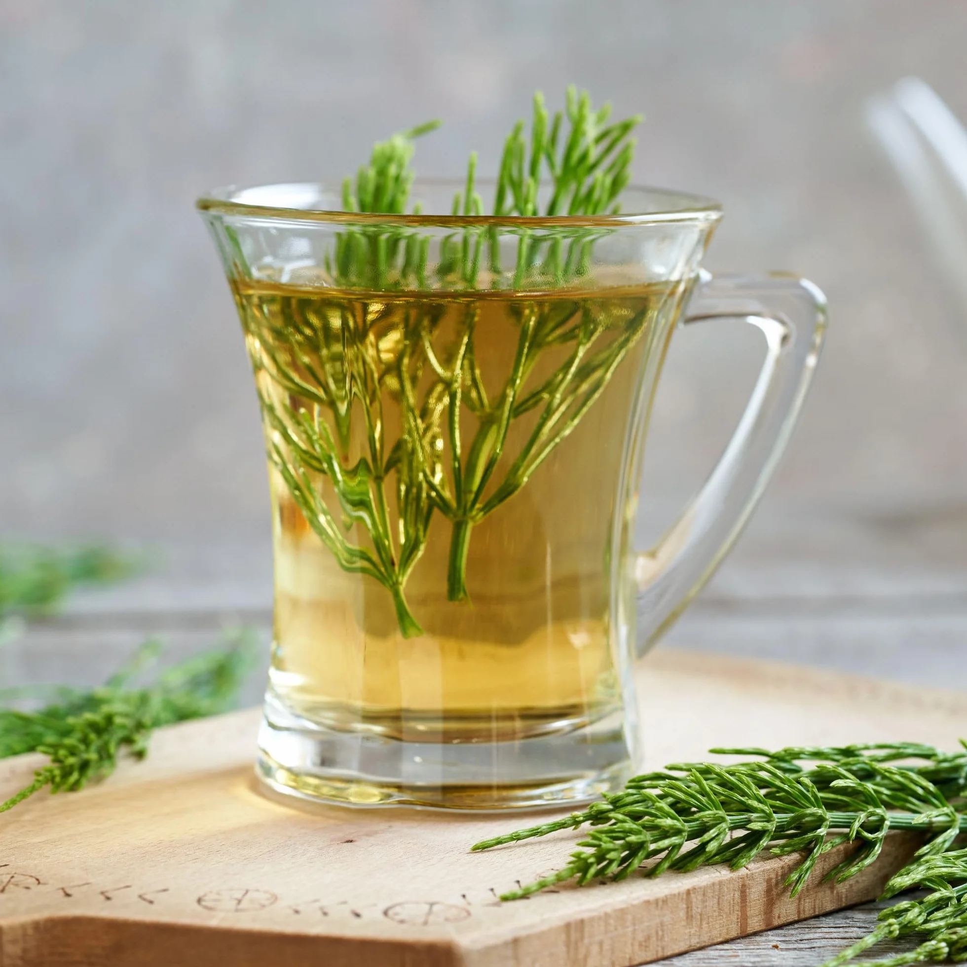 Herbata ze Skrzypu Alpi Nature 250g, Suszone Ziele Skrzypu Polnego, Herbata Liściasta