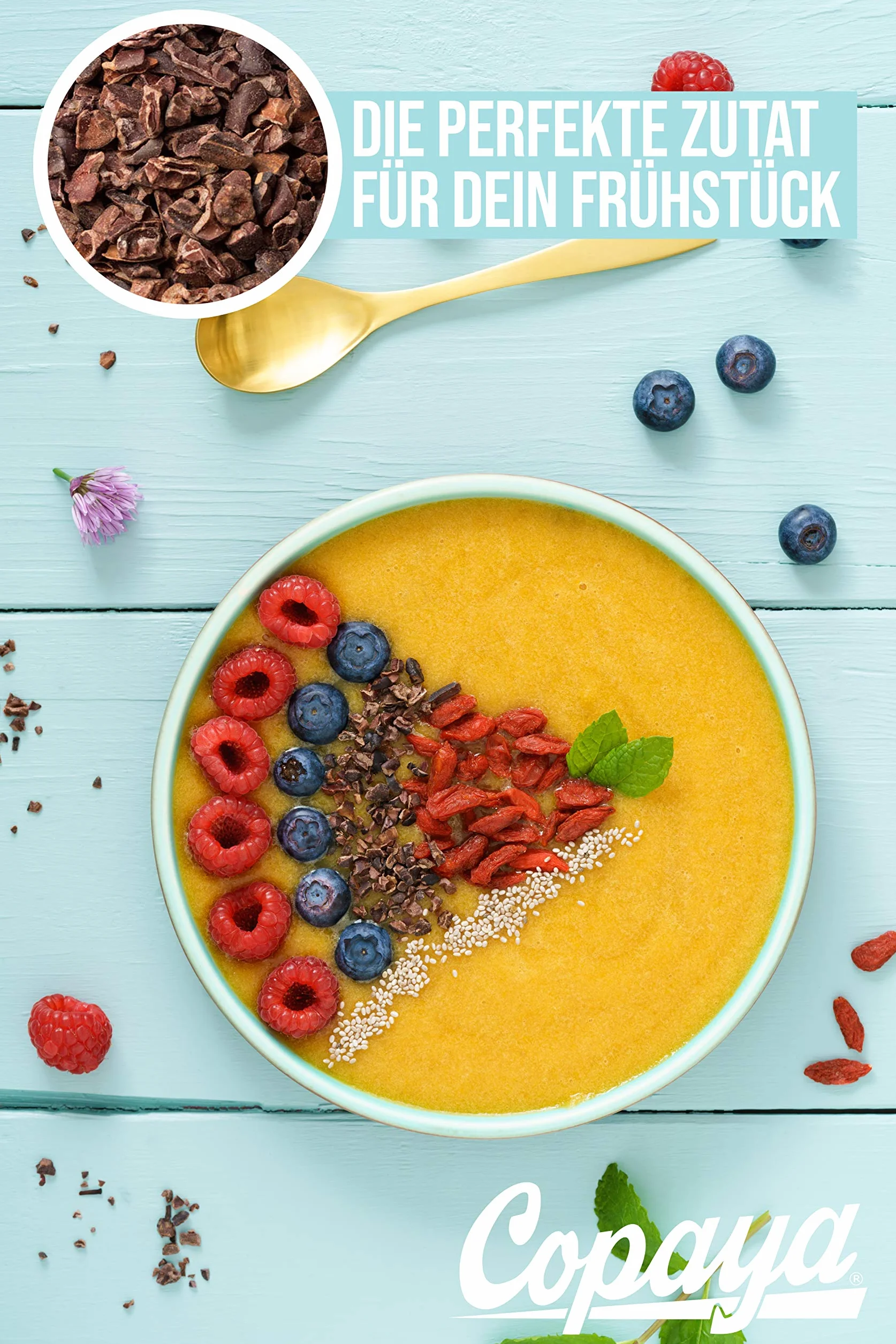 Copaya Bio kakao Nibs Roh bez dodatków, kakao z peruańskich ziaren kakao, kontrolowane ziarna premium bez cukru, niepalone i niesłodkie, 500 g