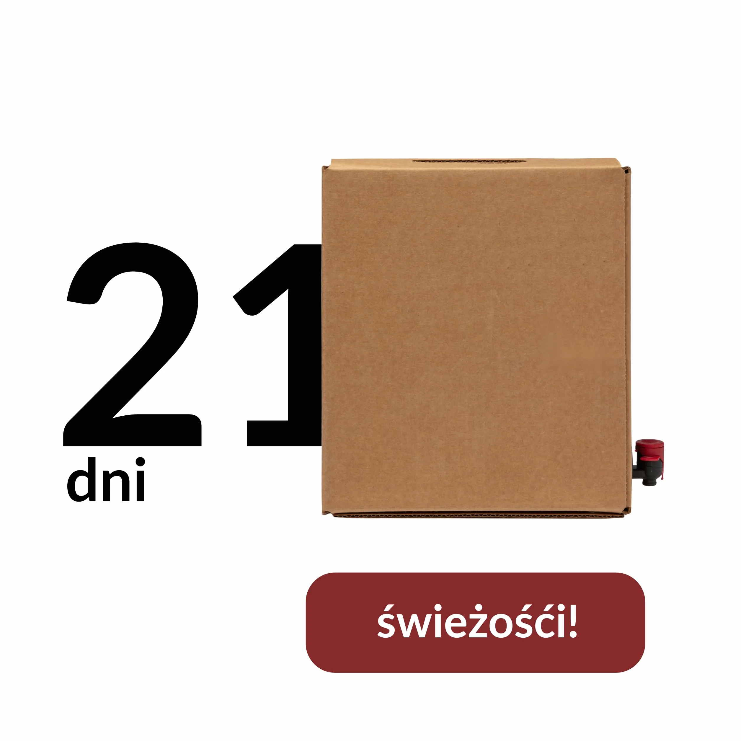Tradycyjny Zakwas Buraczany z Przyprawami 3L Bag in Box Fermentowany NFC Bez Cukru Polskie Buraki Baza do Barszczu