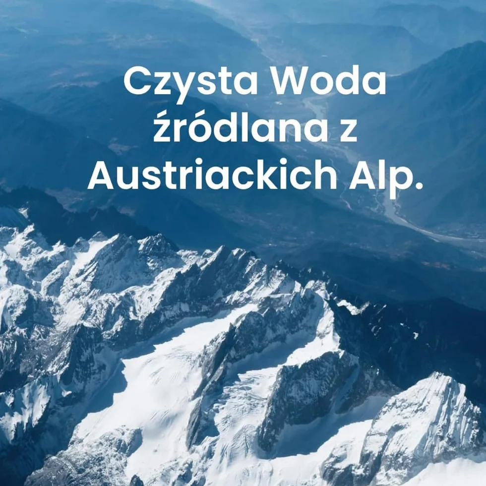 NEA Woda Gazowana w Puszkach – Nasycona Dwutlenkiem Węgla Woda Mineralna z Austriackich Alp - 330 ml (opakowanie 24 szt.)