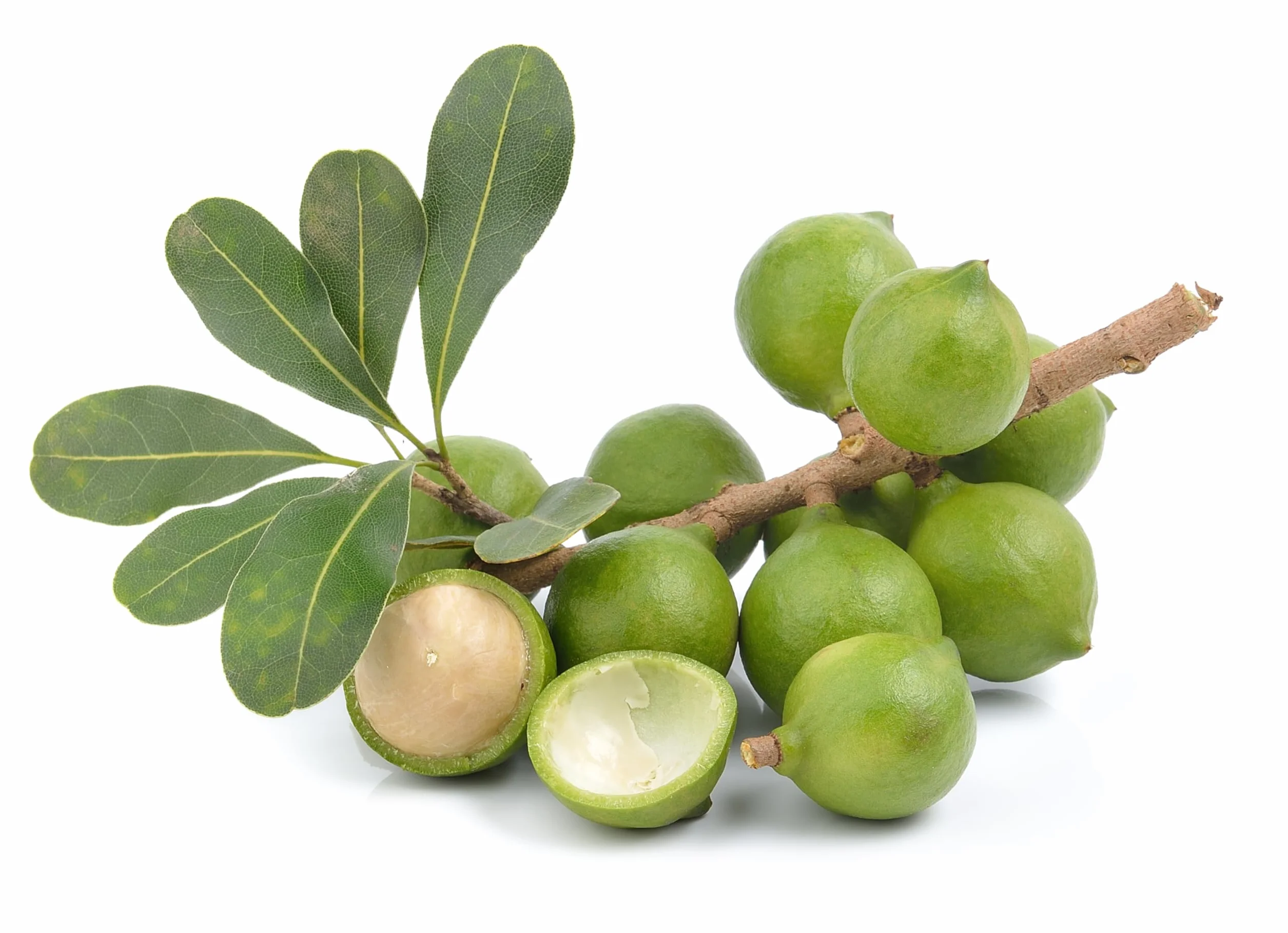 Mundo Feliz Organiczne Surowe Orzechy Makadamia 5 X 100 G