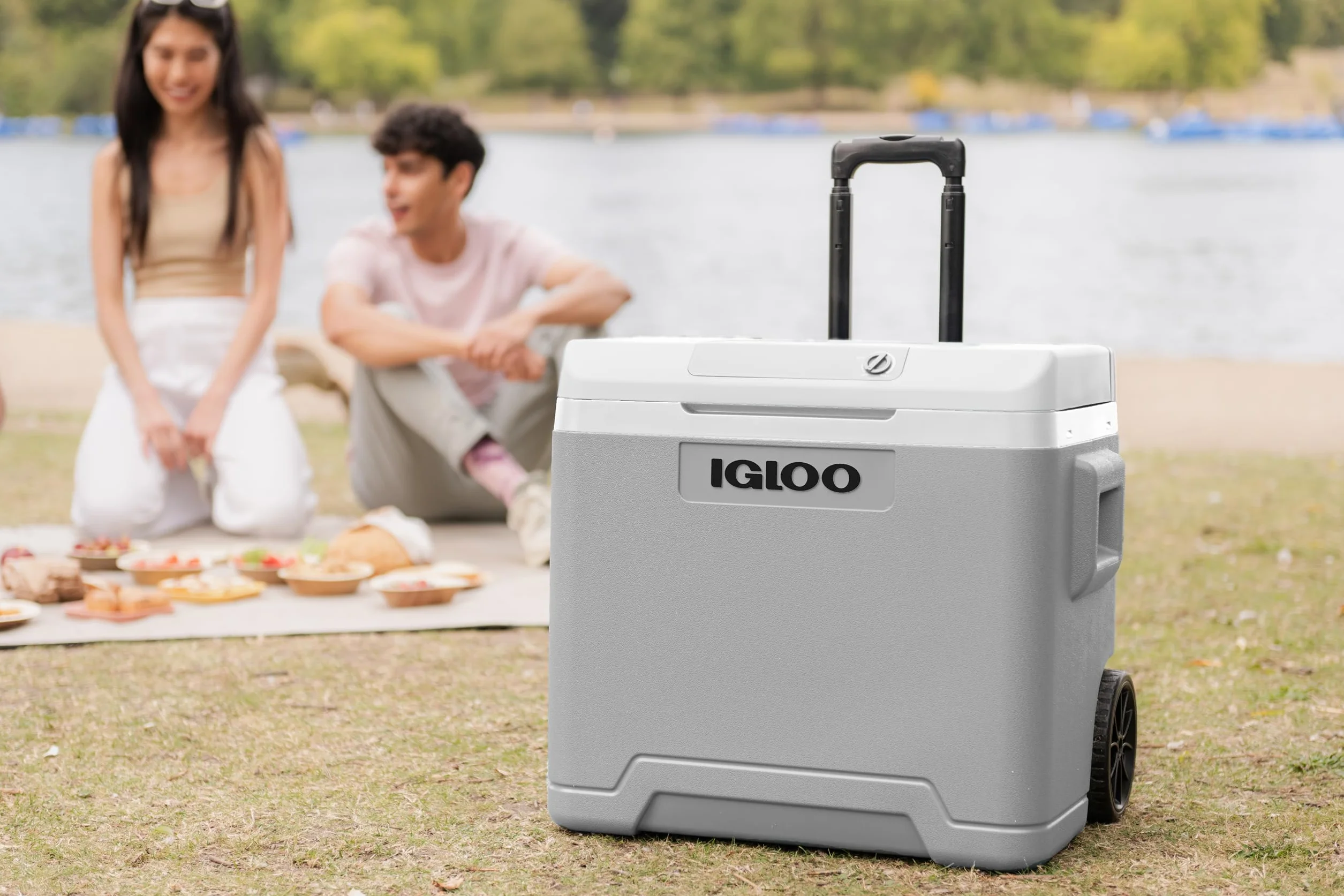 IGLOO IE42 elektryczna lodówka turystyczna 12V/230V, 42L – kompaktowa lodówka samochodowa na kemping, łódź i festiwale, z kółkami i teleskopowym uchwytem, schowkiem na kabel oraz trybem Eco/Max