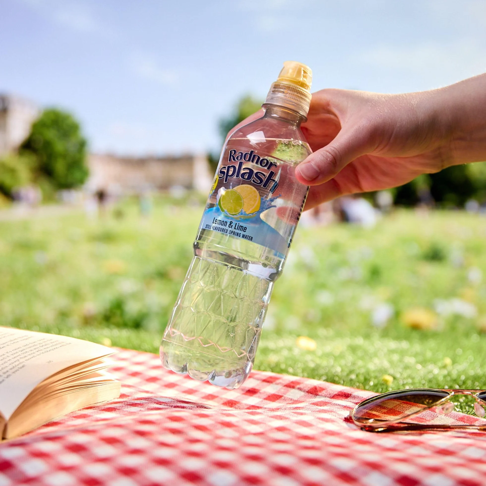 Radnor Woda o smaku cytryny i limonki - 24 x 500 ml