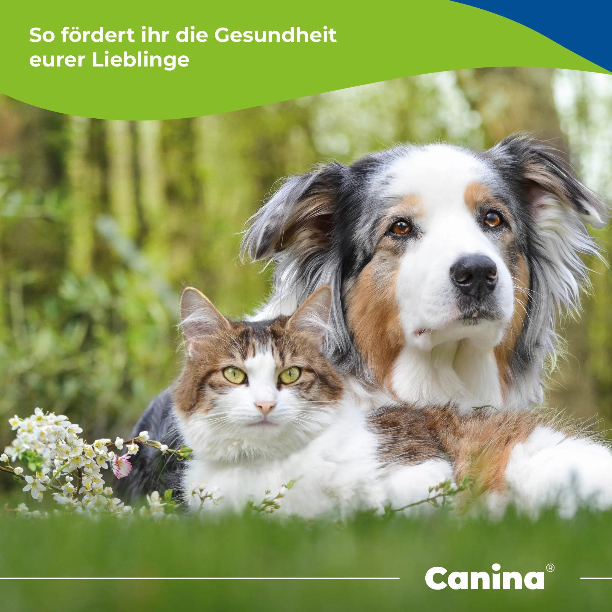 Canina Pharma Seealgenmehl 250g