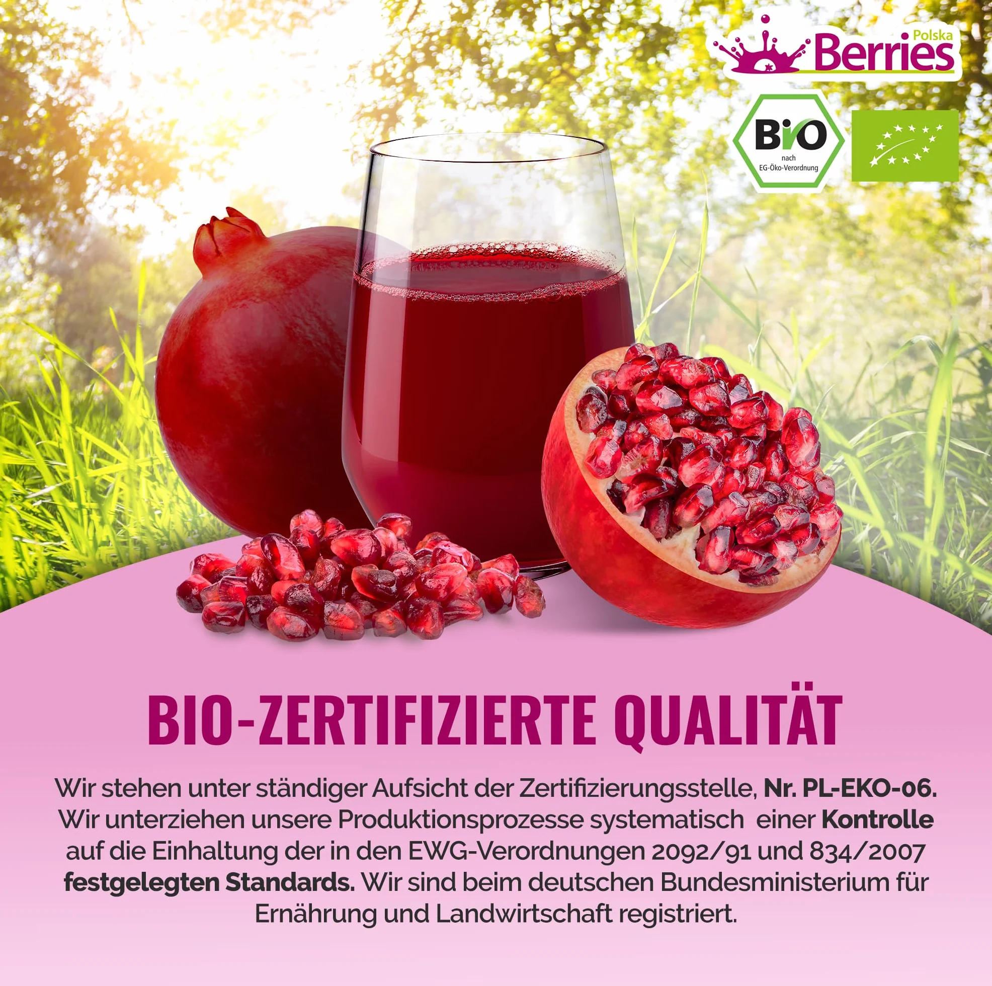 Berries Polska BIO 6x250ml Sok Bezpośrednio z Owoców Ekologicznych Tłoczony na Zimno - bez barwników, bez cukru, bez GMO, bez konserwantów - Wegański, Wegetariański, Organiczny - Czarna porzeczka