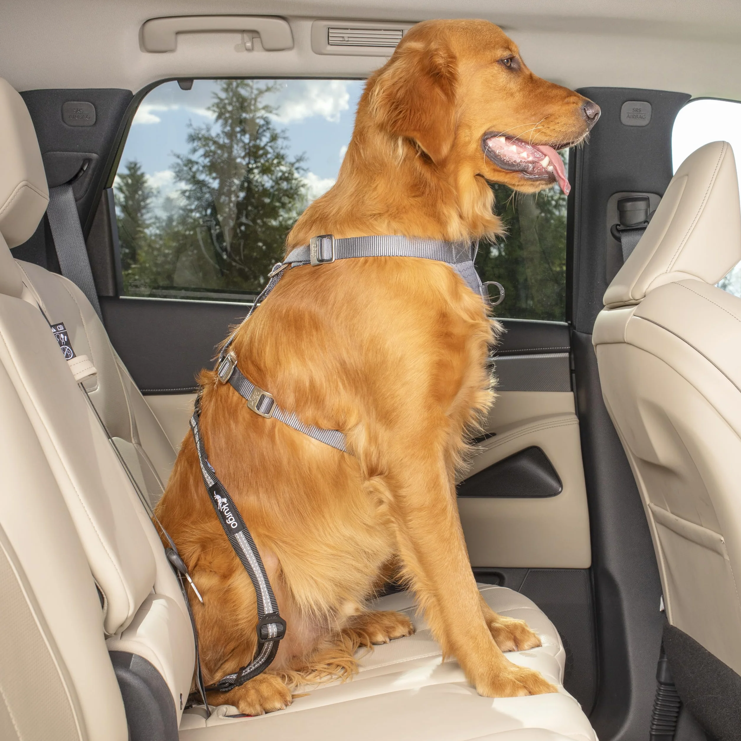 Kurgo Swivel Tether ISOFIX samochodowy pas bezpieczeństwa dla psów regulowany 38-56 cm szary czarny