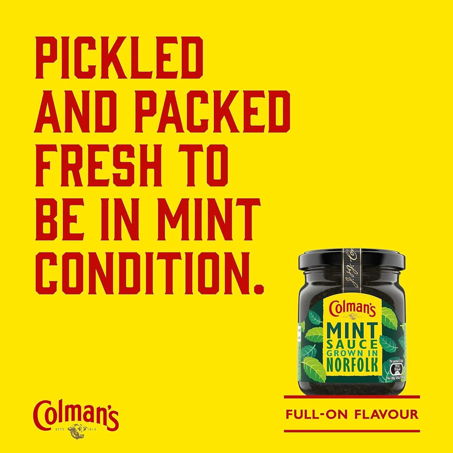 Mintsauce fresh Garden Colmans 250 ml