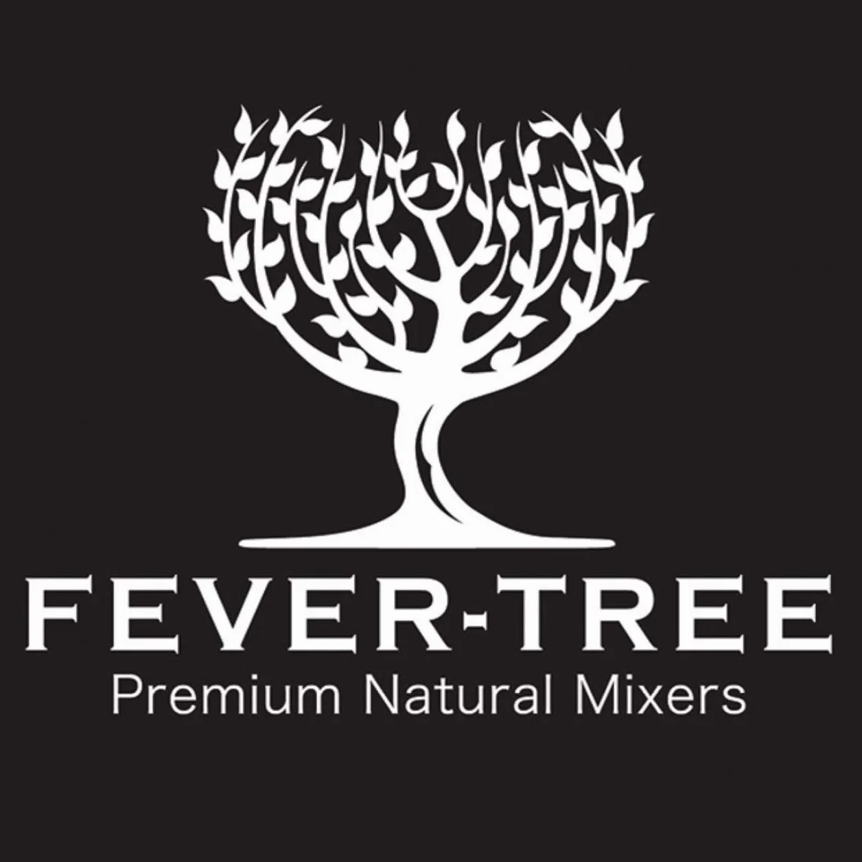 Fieberbaum Indian Tonic Water zestaw ekonomiczny 200 ml (24 x 0,2 l)
