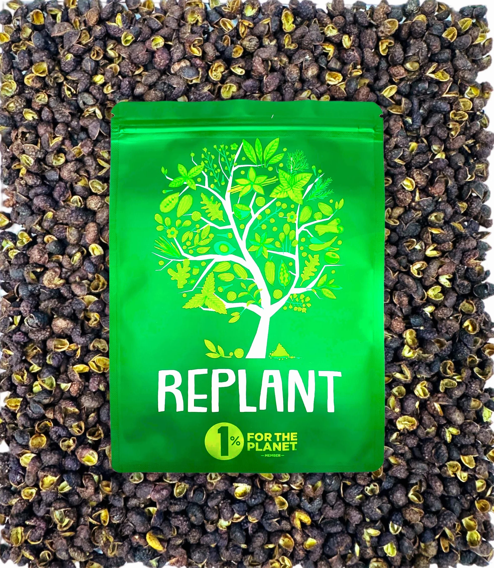 REPLANT Timut Pfeffer 150 g – Grand Cru Nepal 2023 – Sichuan Pfeffer – Pfeffer Ganz – czarny pfefferkörner für die Mühle Geeignet – Wiederverschließbarer Beutel FreshZIP_AB