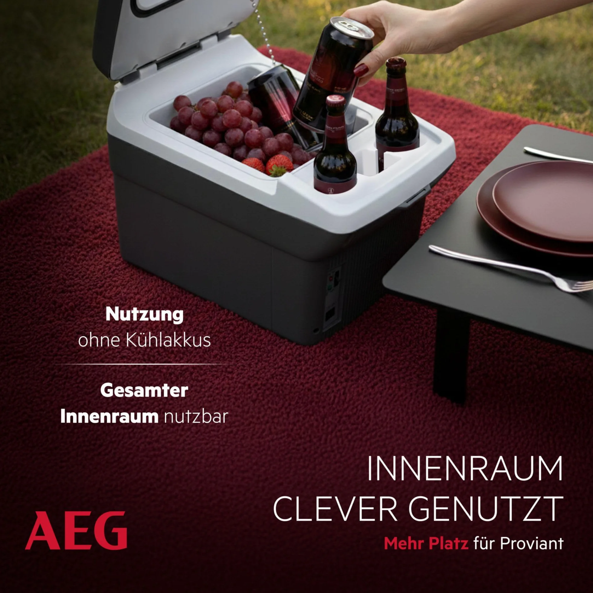 Aeg Automotive 10694 Lodówka, Czarny/Szary, 16 l