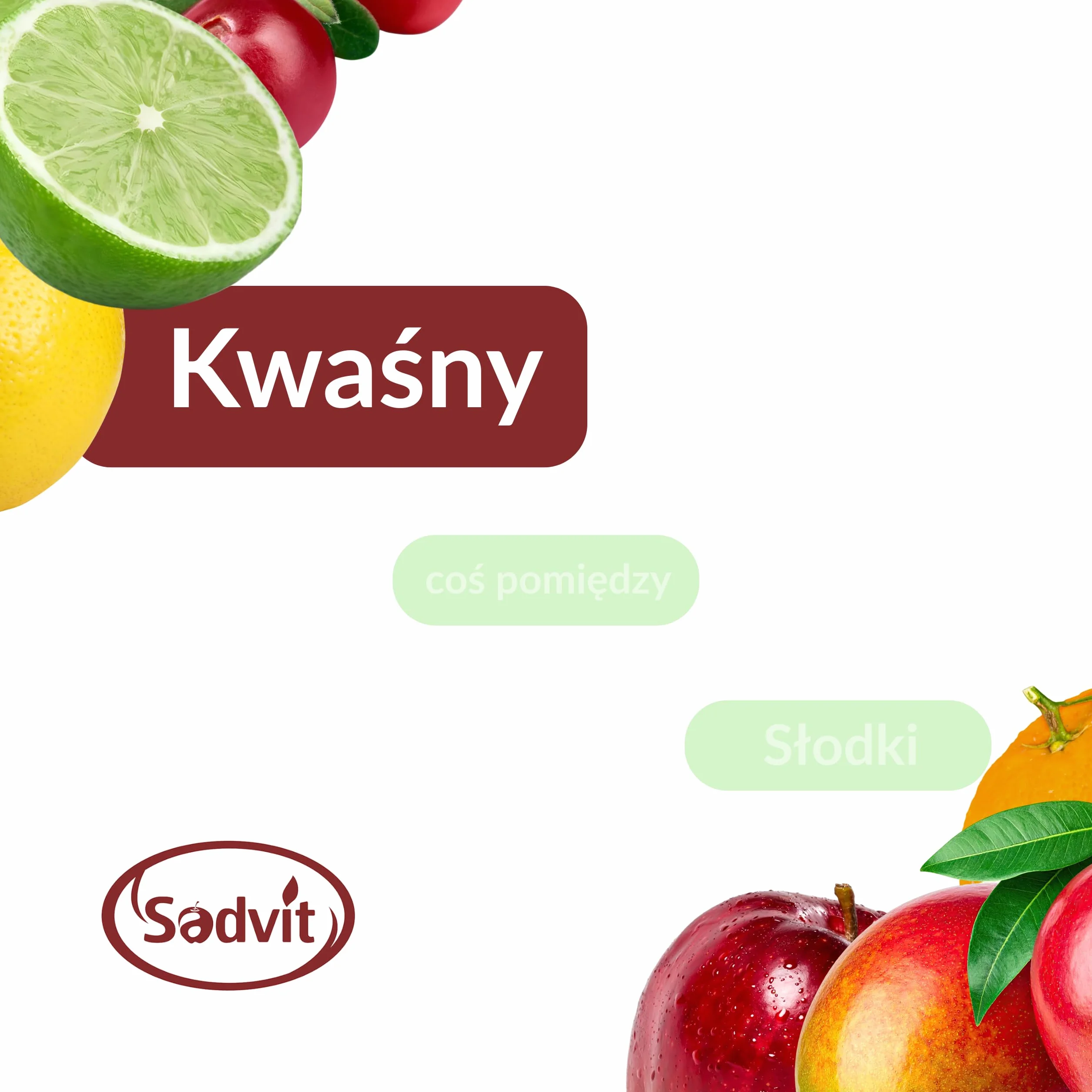 Tradycyjny Zakwas Buraczany z Przyprawami 3L Bag in Box Fermentowany NFC Bez Cukru Polskie Buraki Baza do Barszczu