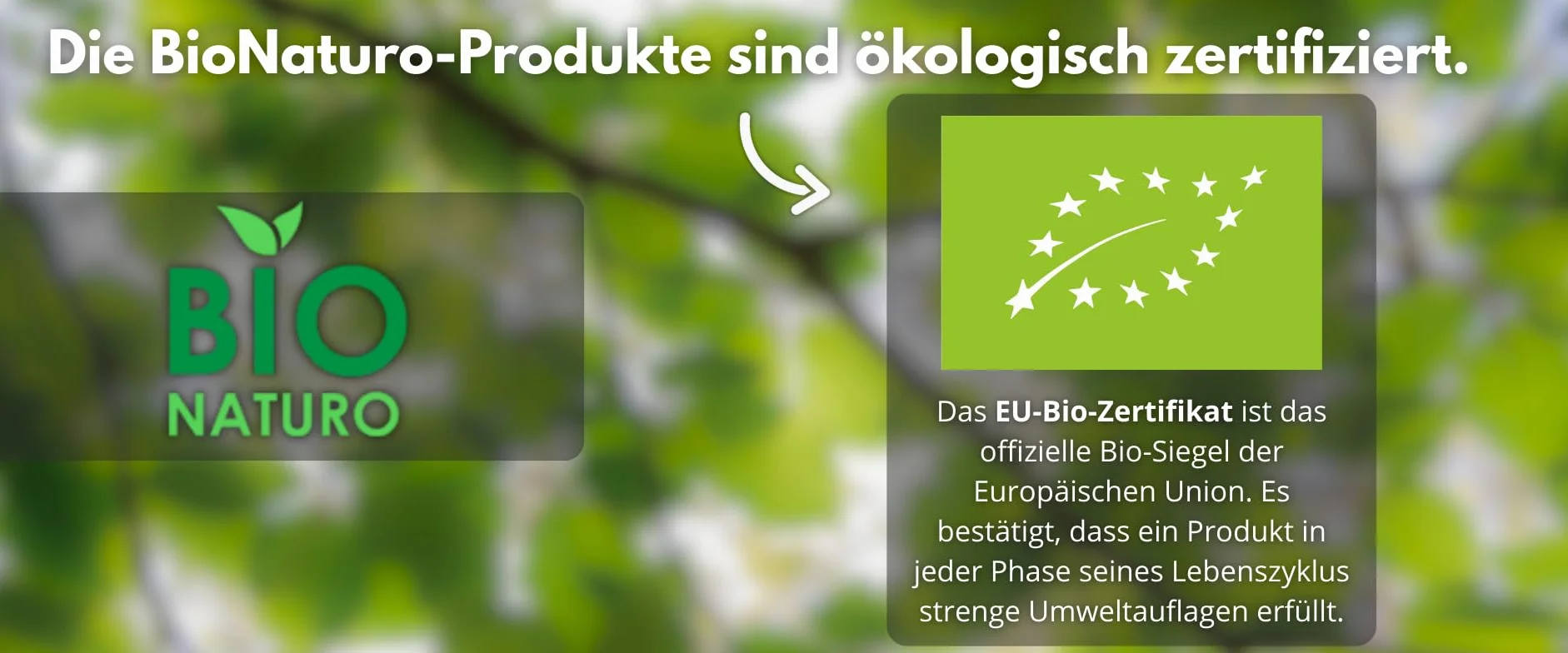 BioNaturo - Bio ocet jabłkowy, naturalny mętny 3 x 250 ml – niefiltrowany, z "matką octu", idealny do sałatek, sosów i korzyści zdrowotnych