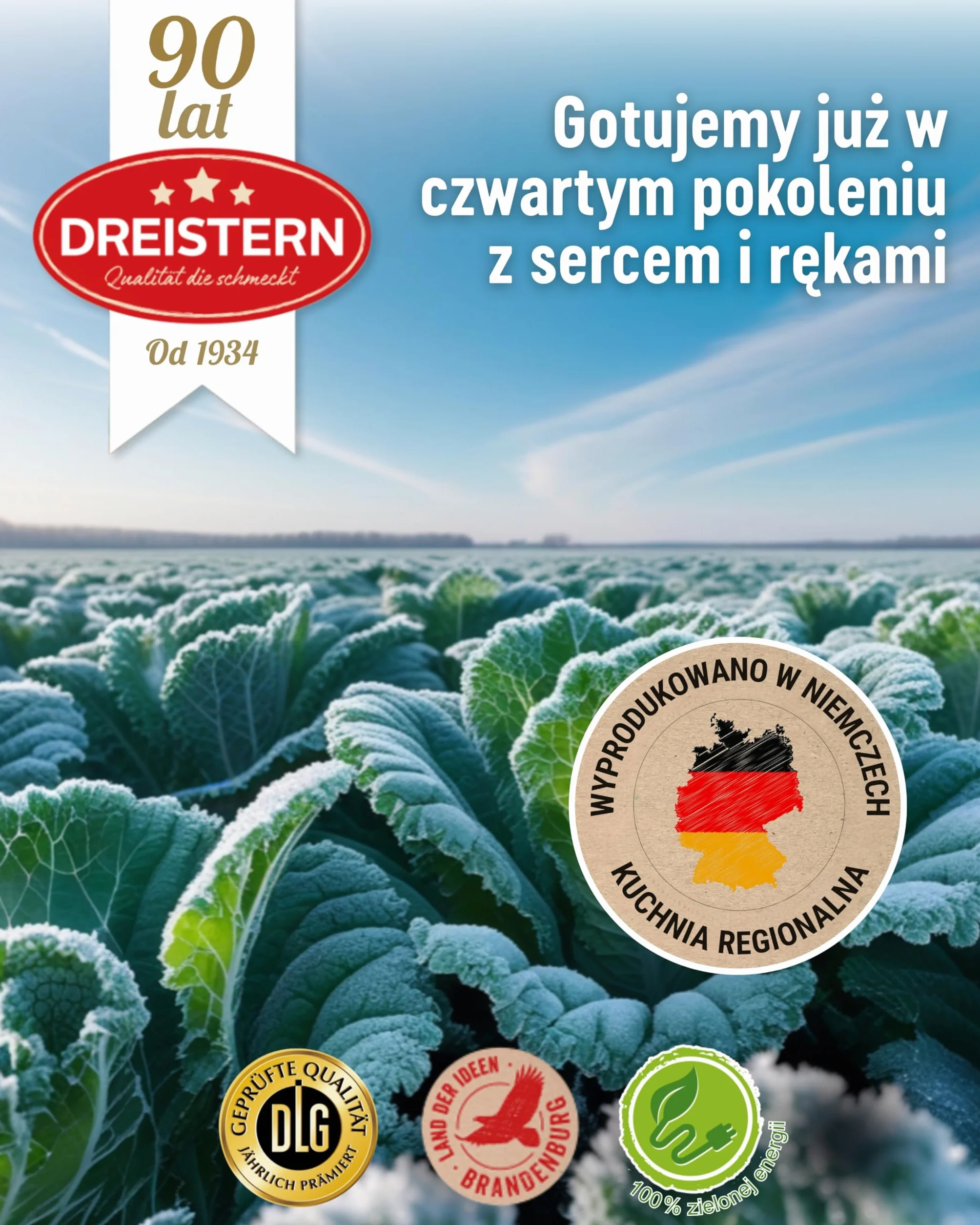 DREISTERN Chili con Carne z Wołowiną i Warzywami, Gotowy Posiłek, Chili w Blaszanym Pudełku, Jakość, Która Dobrze Smakuje