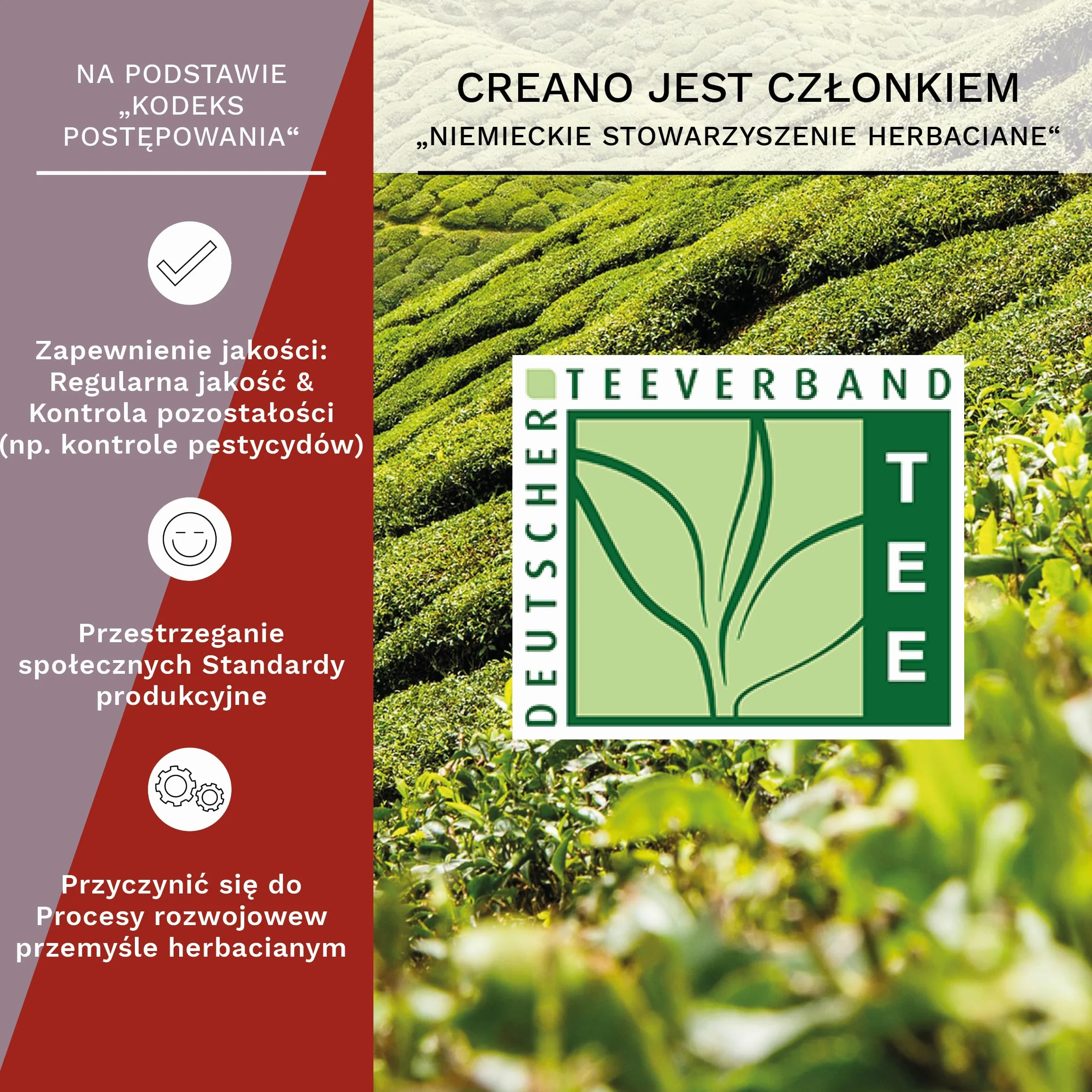 Creano Zestaw prezentowy z kwiatami herbaty - herbata kwitnąca ze szklanym dzbankiem 500ml i 6x czarna i biała herbata + 1x kula bonusowa Teelini czarna herbata - 8-częściowy