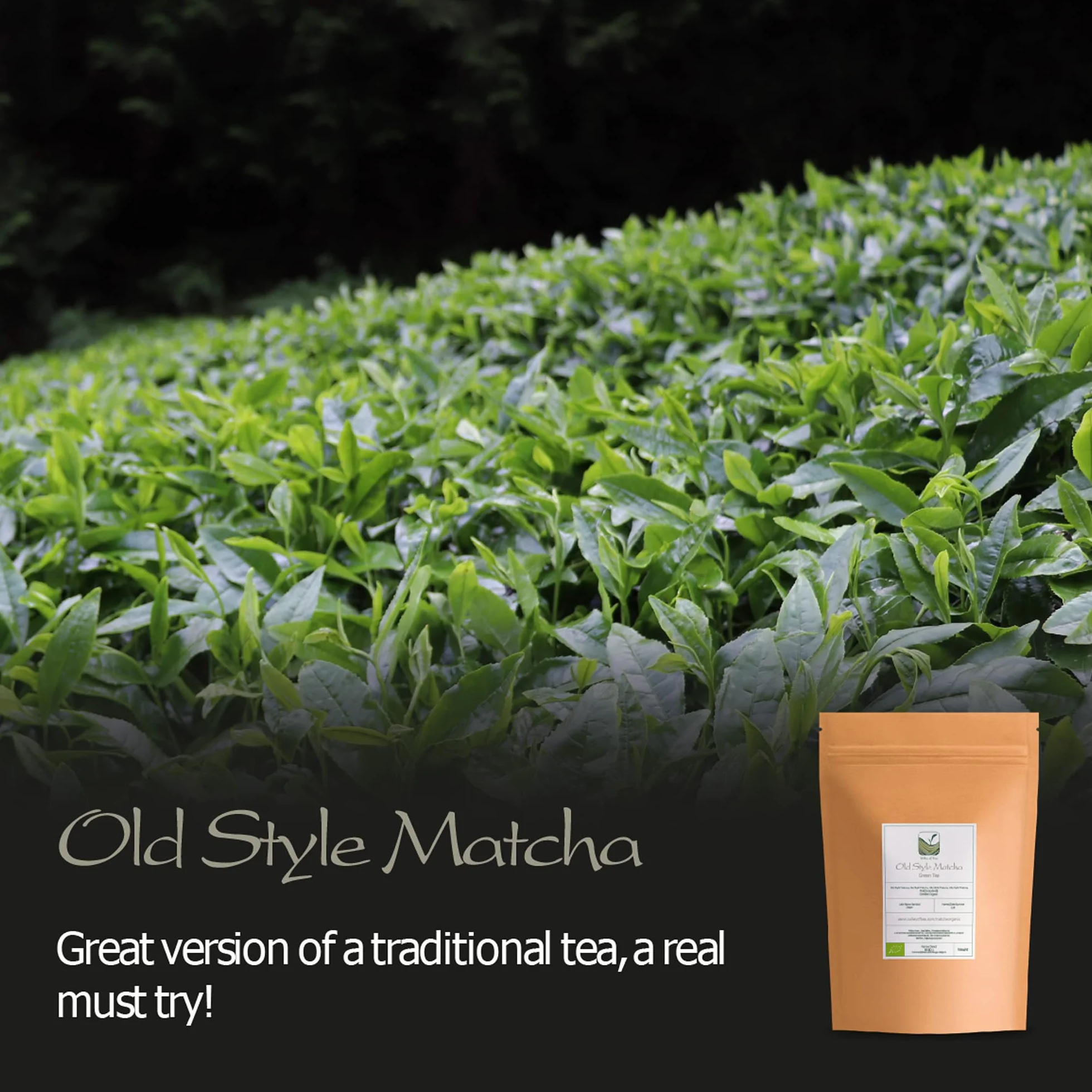 Old Style Matcha