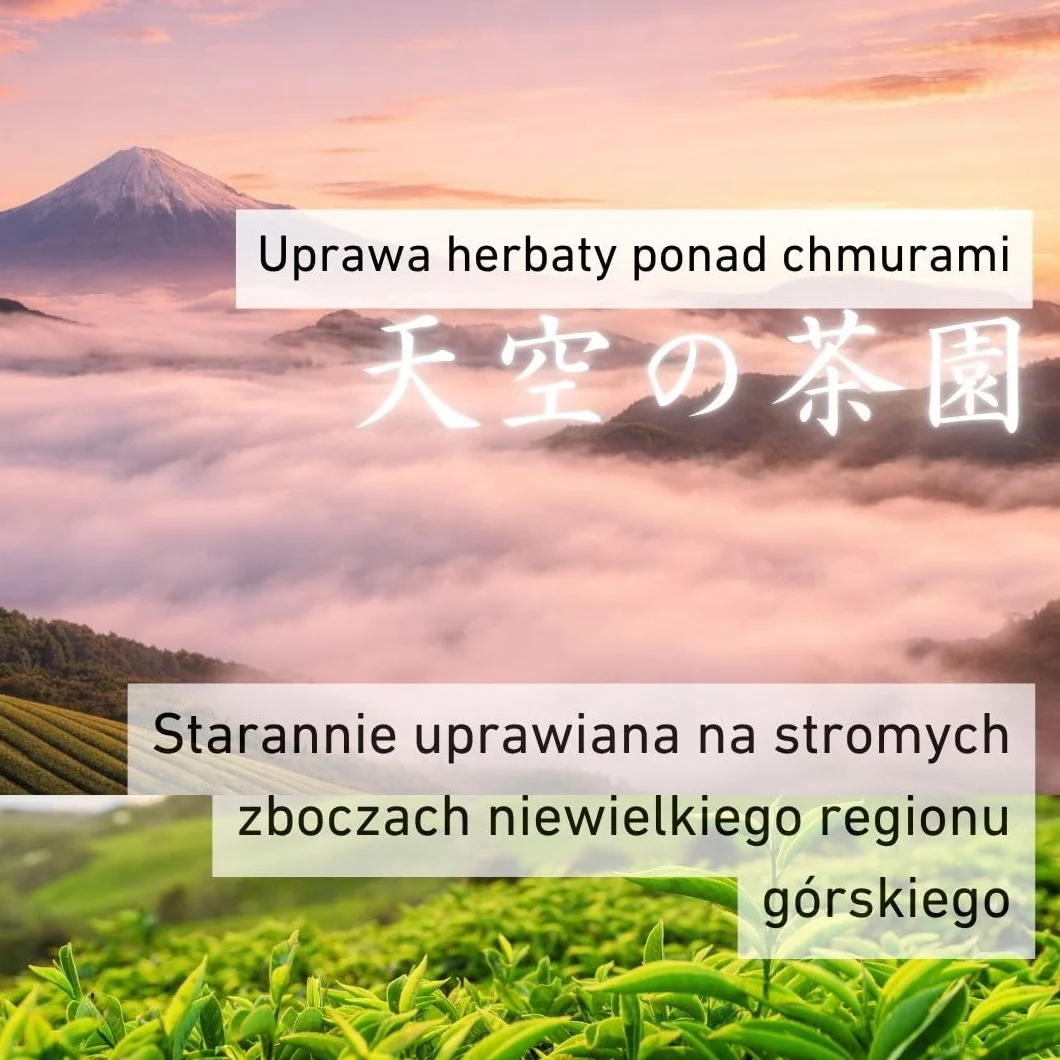 Daisan Tea Ryogouchi Sencha 100 g – Japońska zielona herbata premium z Shizuoka | 1. miejsce w Japońskim Krajowym Konkursie Herbacianym