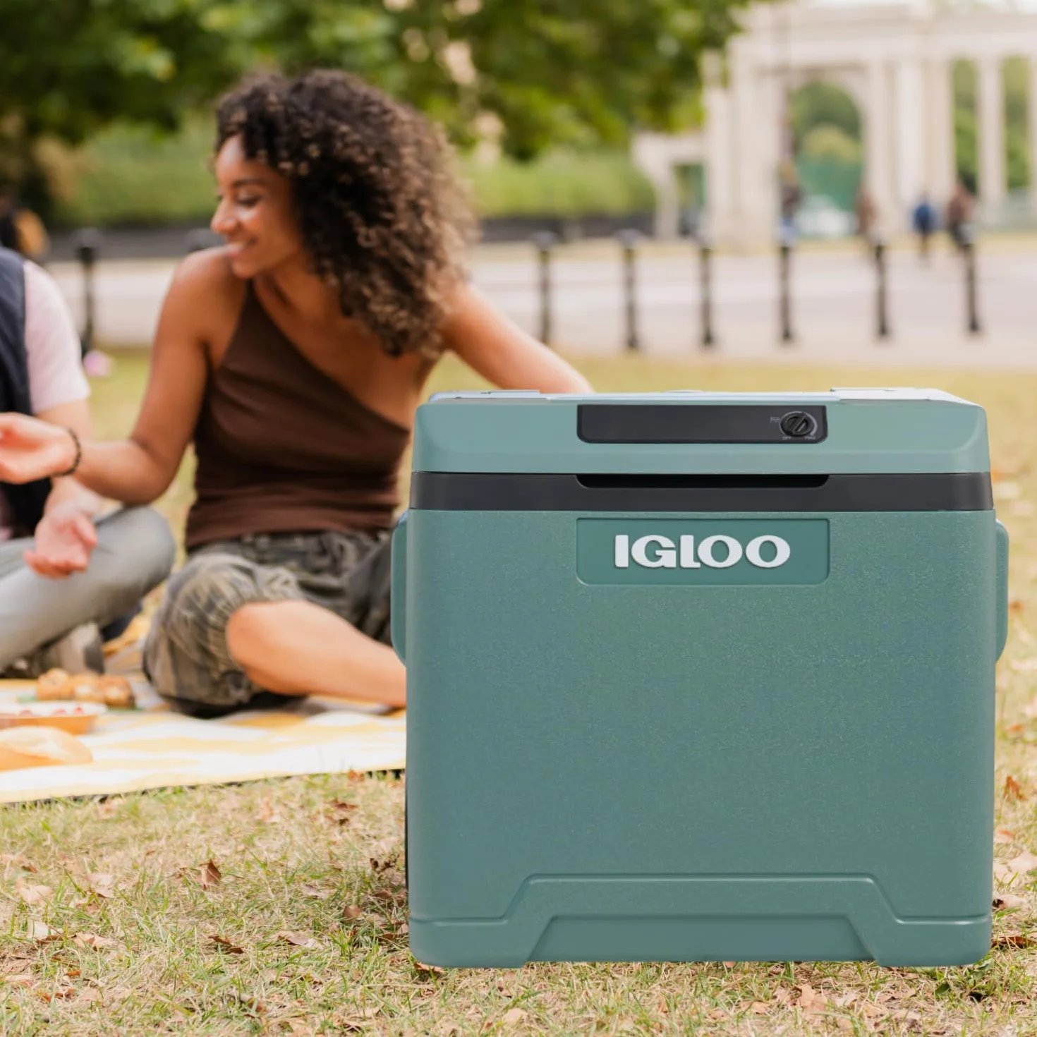 IGLOO IE42 elektryczna lodówka 42L – 12/230V – Termoelektryczna lodówka z kółkami i uchwytem teleskopowym do auta, kampera, kempingu i ciężarówki – Chłodzi do 20 °C poniżej temperatury otoczenia