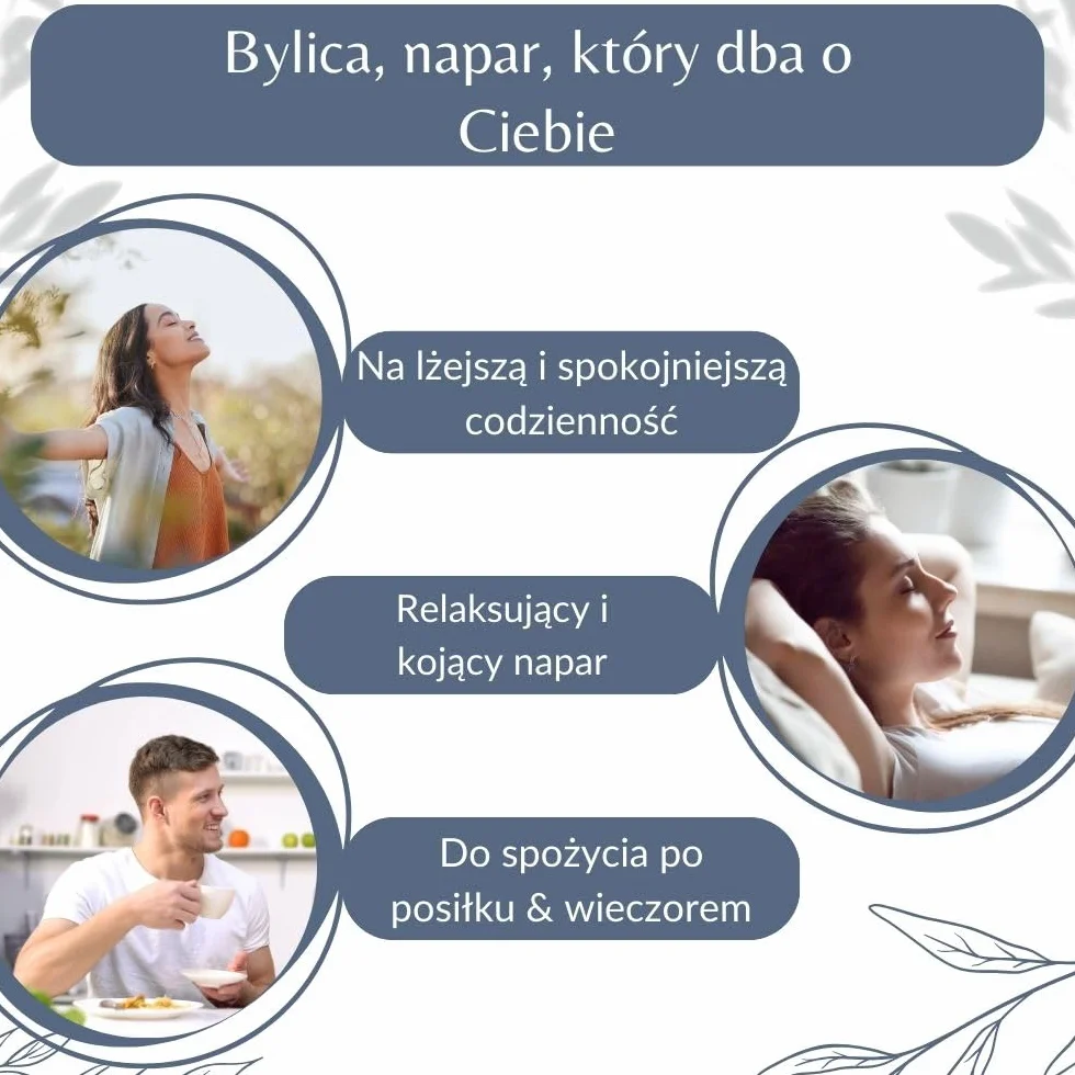 Luźne liście i łodygi bylicy pospolitej – herbata ziołowa i wspomagająca trawienie – Artemisia Vulgaris L. – uprawa ekologiczna – pakowana we Francji – torebka 100 g (50 filiżanek)