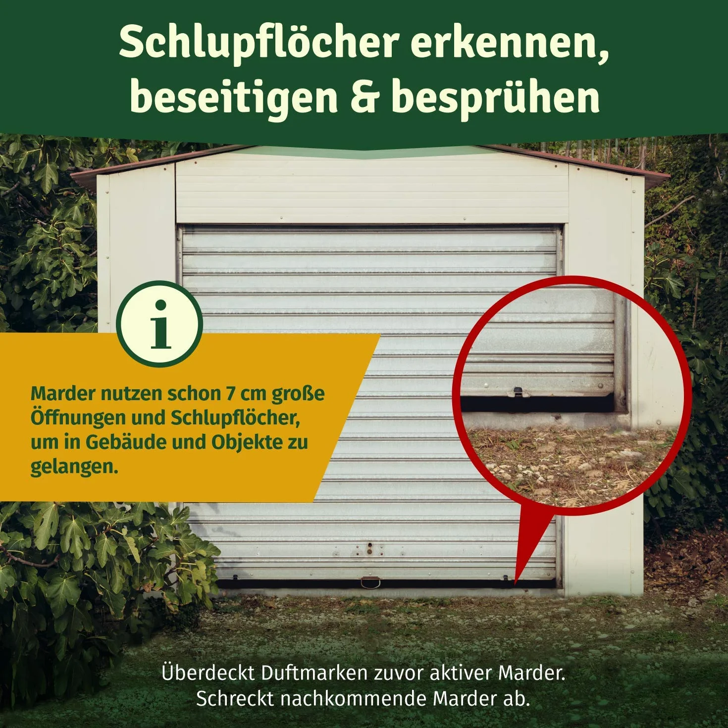 Veddelholzer spray na kuny do samochodu, strychu i garażu | 400 ml | Natychmiastowa i długotrwała ochrona przed kunami i obiektami dzięki skutecznej ochronie przed kunami | Odstraszacz kunów