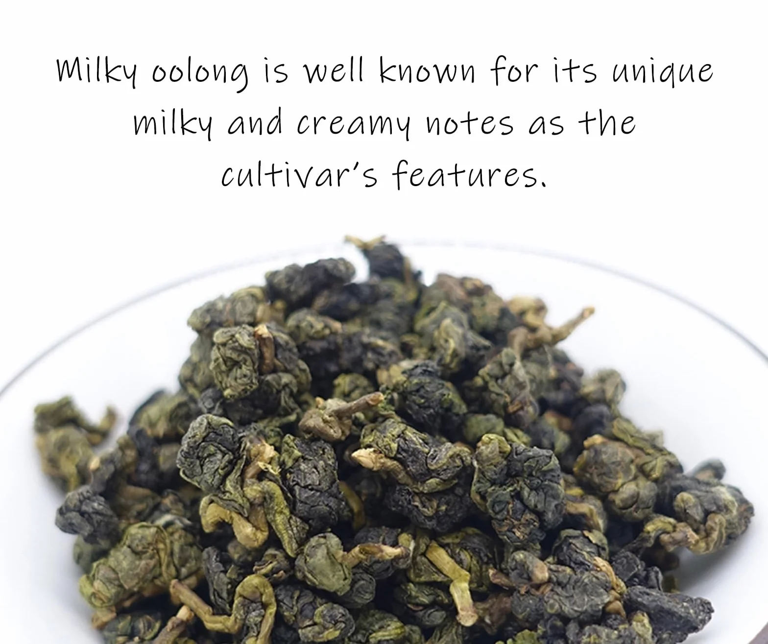 Trilliant Fomsa Tea Milky oolong herbata Jin Xuan 113 g opakowanie prezentowe