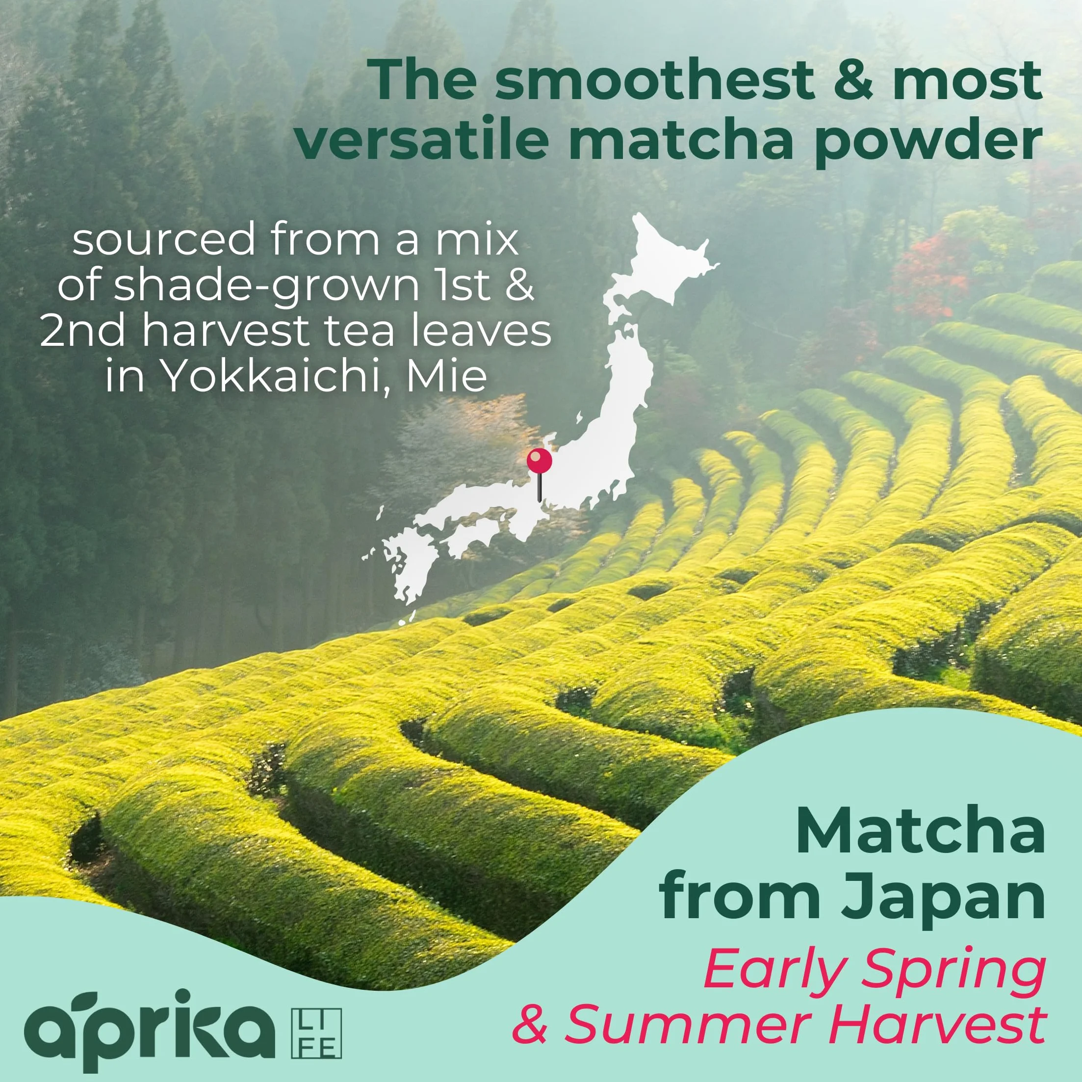 Japońska Matcha w proszku Premium 100 g - AprikaLife