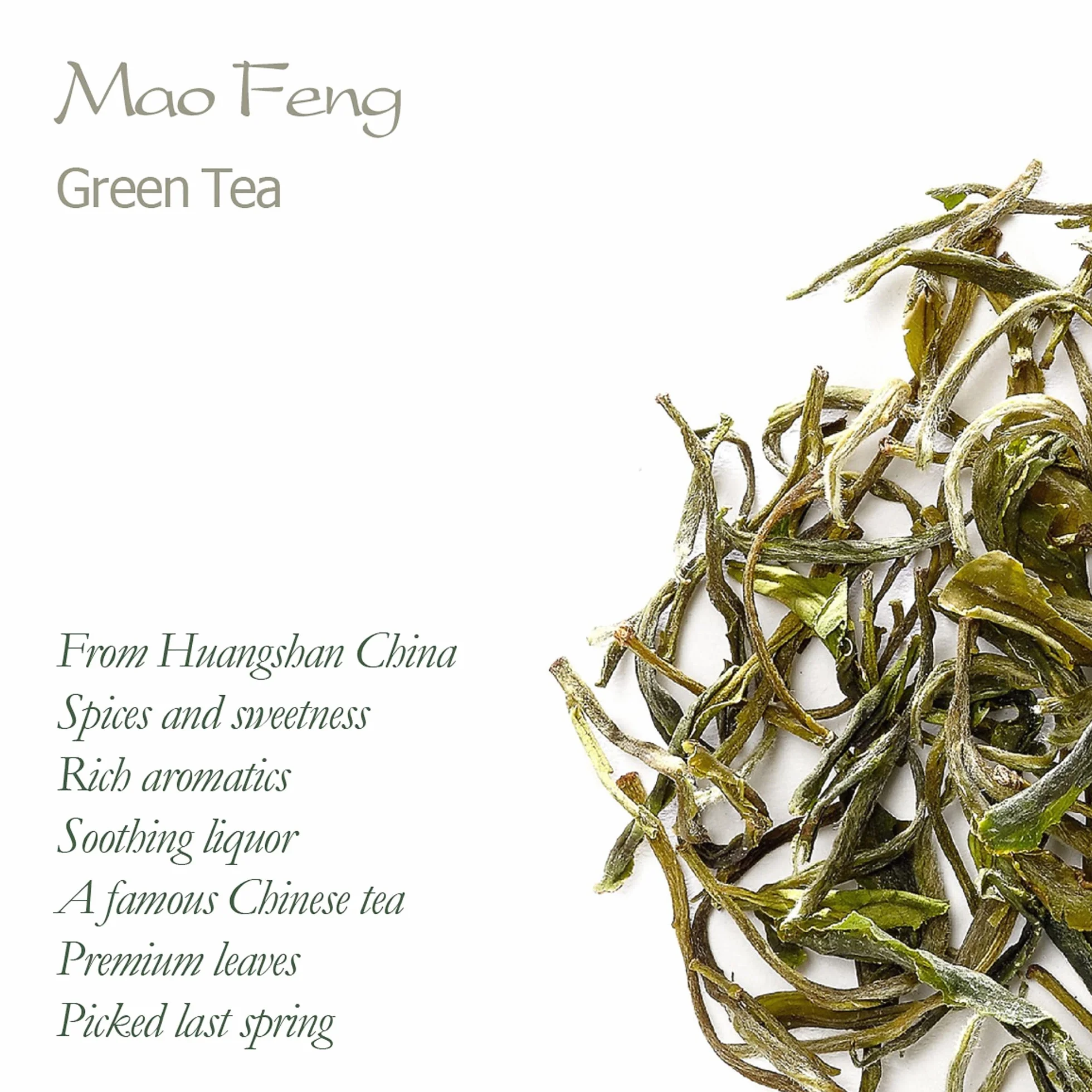 Mao Feng Green Tea China - Famous Chinese Tea From Huang Shang