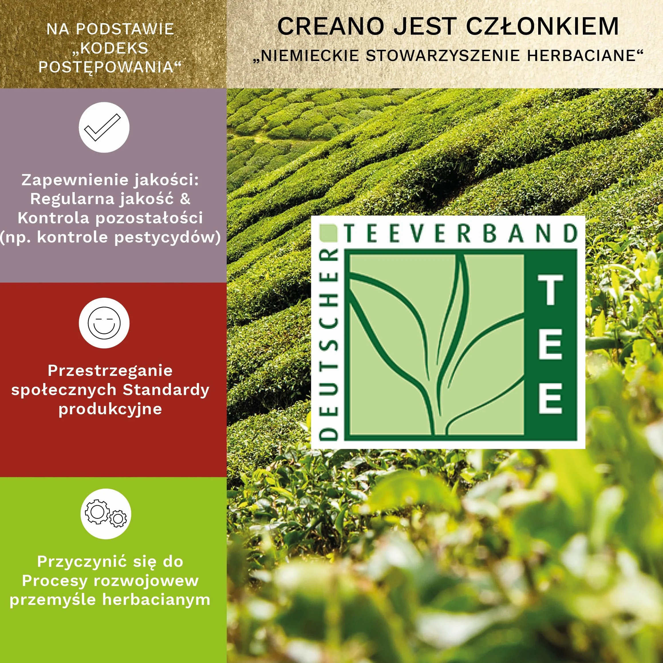 Zestaw upominkowy Creano Flowering Tea Mix – Złoty, Herbata Kwitnąca w Szklanym Imbryku, Biała, Zielona i Czarna Herbata w 6 Odmianach, Prezent dla Kobiety, 7 Sztuk