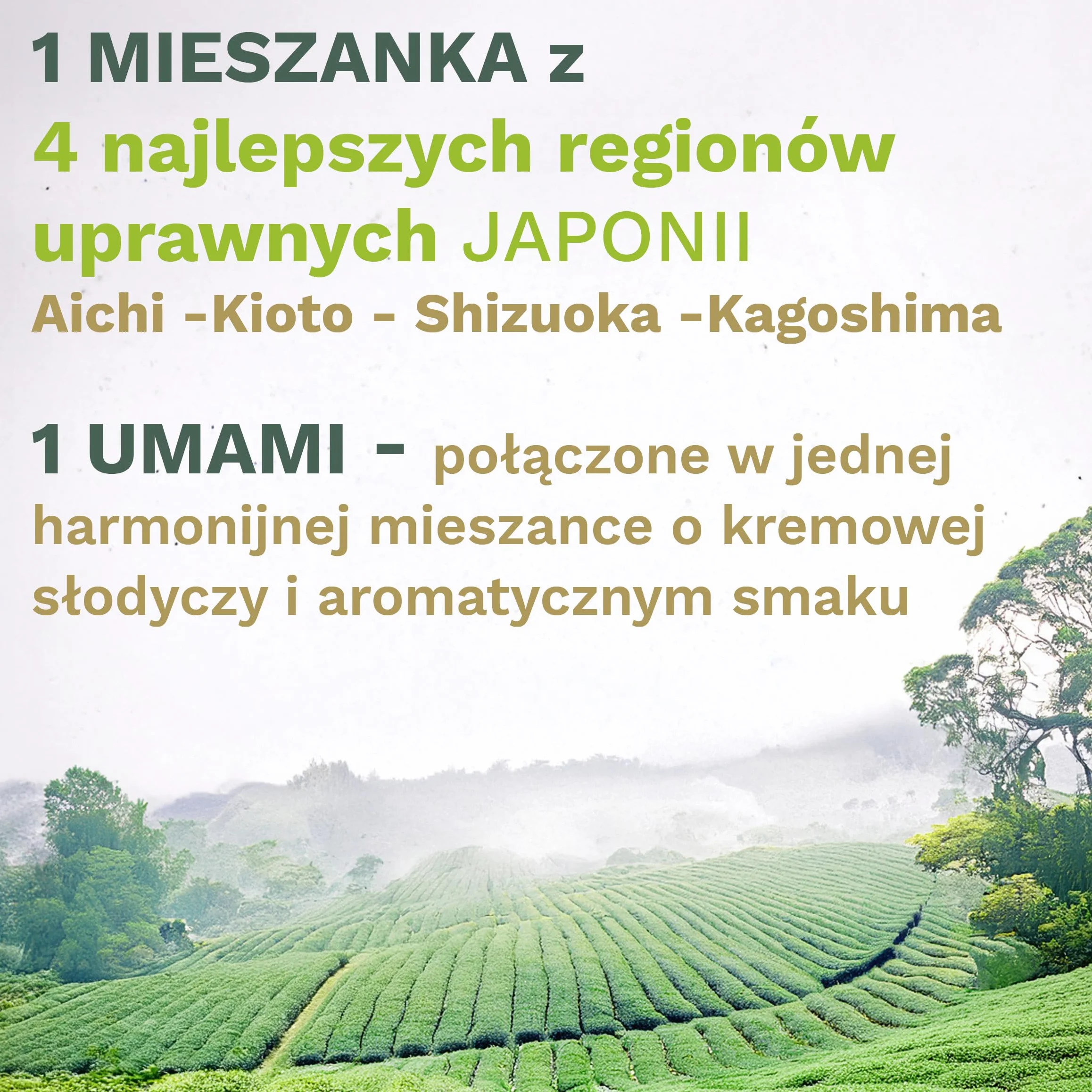 Ceremonialna herbata Creano Organic Matcha 50g z Japonii Aichi Kioto Shizuoka Kagoshima