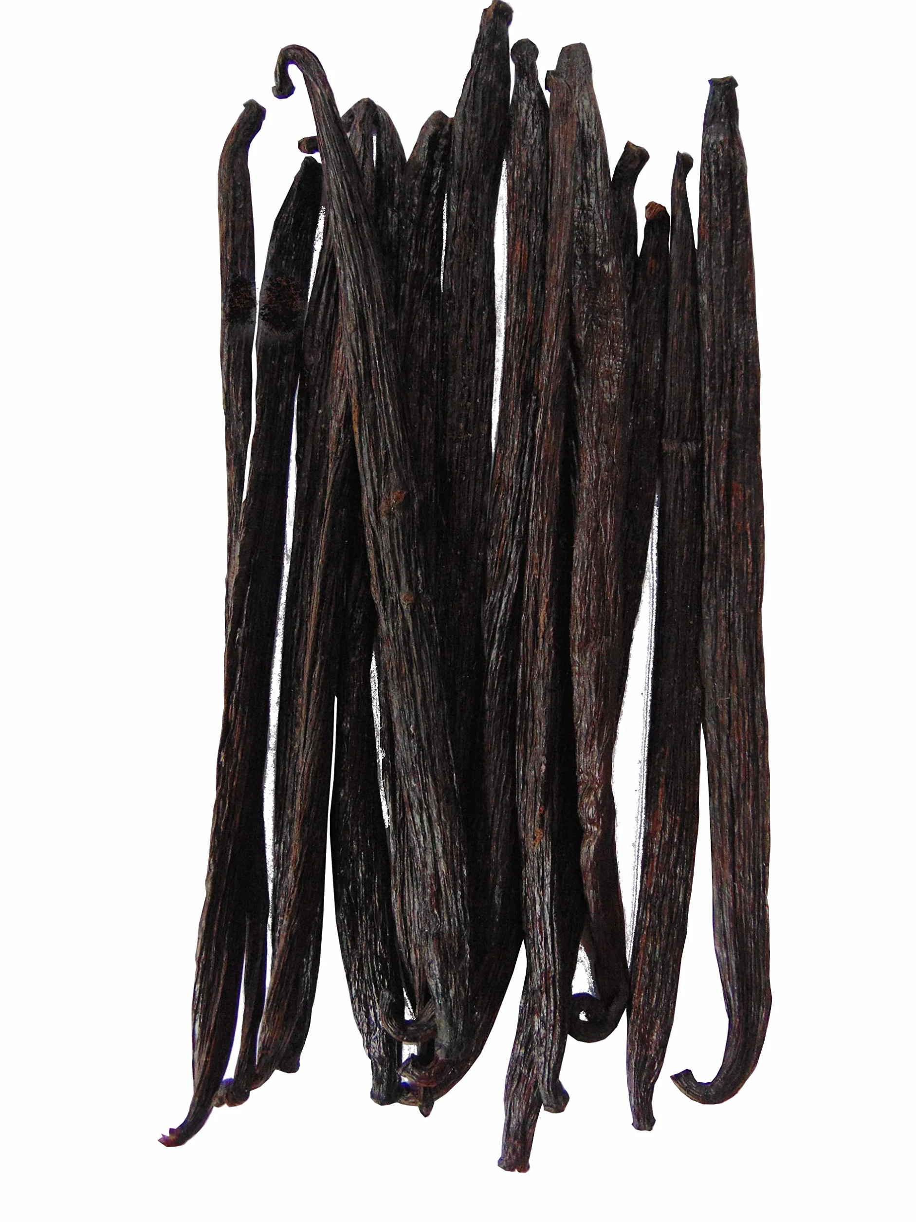 Laski Wanilii Madagaskar Bourbon 15 Lasek (min. 13 cm)