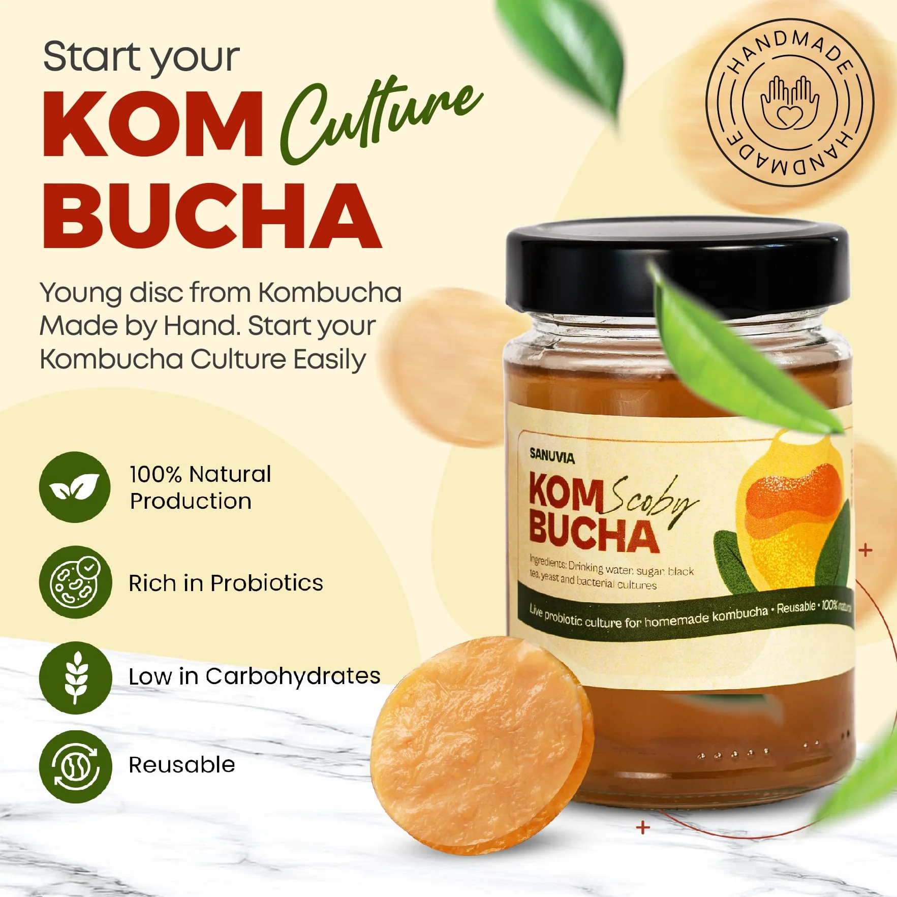 SANUVIA Kombucha SCOBY Starter Culture – Grzybek herbaciany z 300 ml herbaty startowej w szklanym słoiku – Wegański, żywa kultura, wielokrotnego użytku – Instrukcje na etykiecie – 100% naturalny