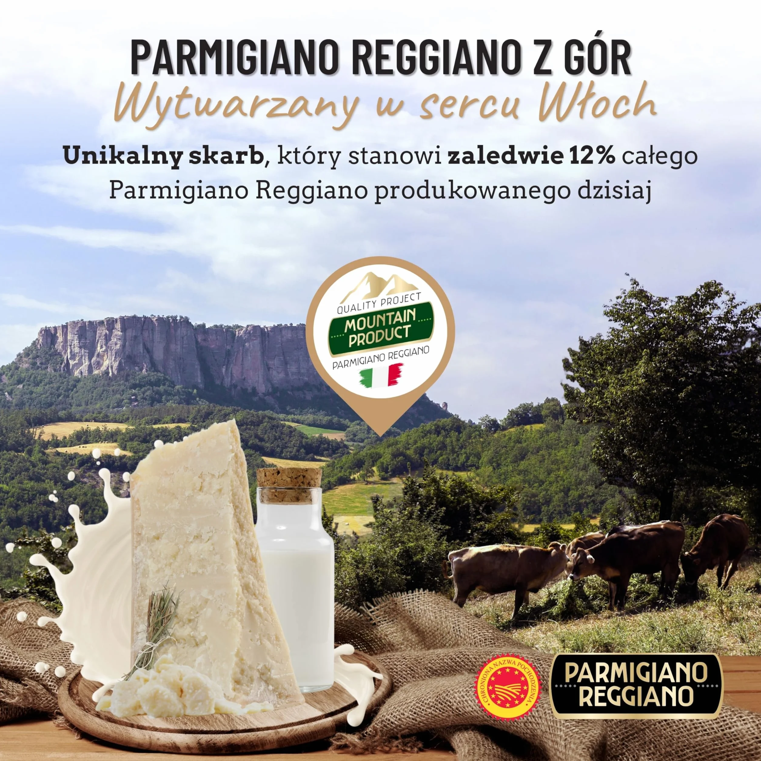 Ser Parmigiano Reggiano z Gór 48 Miesięcy Dojrzały - Idealny do Makaronu, Chleba, Sałatek, Przekąsek i Owoców - Włoski Ser 2,2 lb (1 kg)