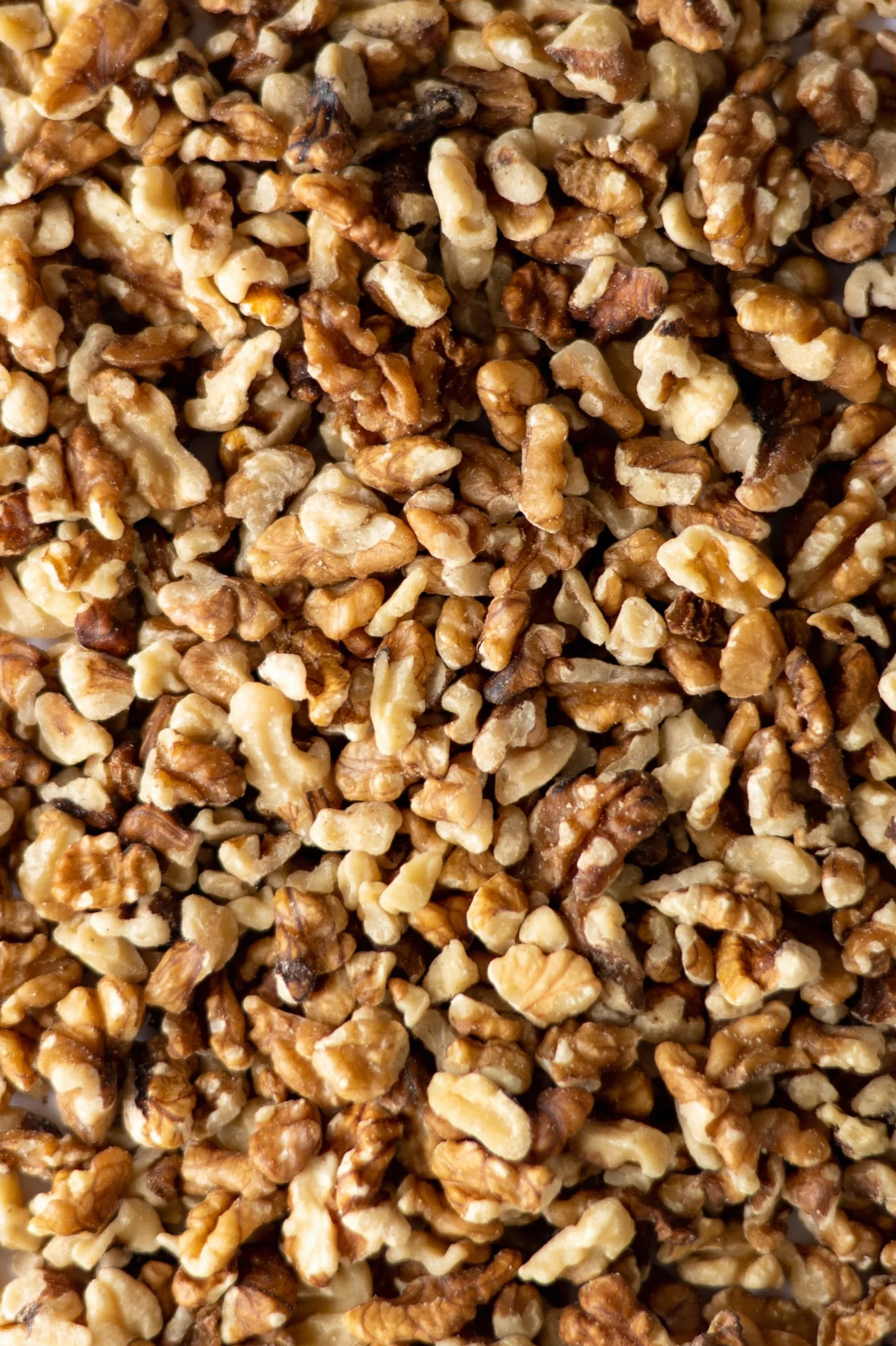 Biojoy BIO-Orzechy włoskie cząstki bez skorupy Juglans regia 1 kg
