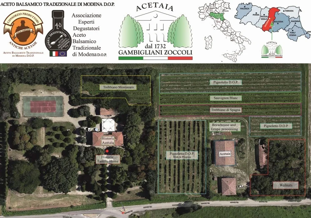 Acetaia Gambigliani Zoccoli - Duet tradycyjnego octu balsamicznego z Modeny D.O.P. 2 butelki po 100 ml ABTM minimum 12 i powyżej 25 lat starzenia